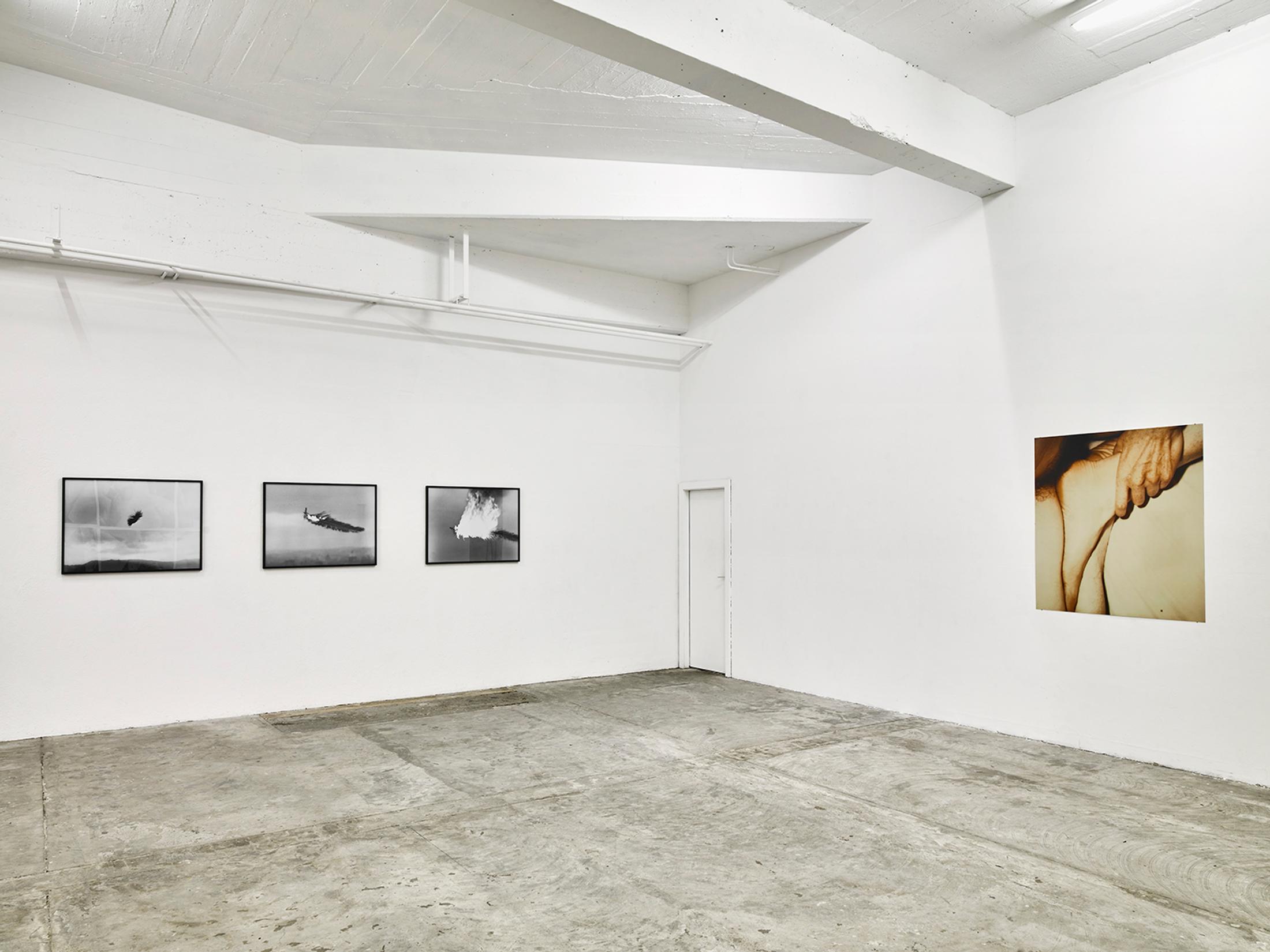 Exhibition View Solo Show «Hannah Villiger» at CIRCUIT, Lausanne, 2023-2024 / Photo: James Pascale / Courtesy: Foundation The estate of Hannah Villiger and CIRCUIT, Centre d'art contemporain
