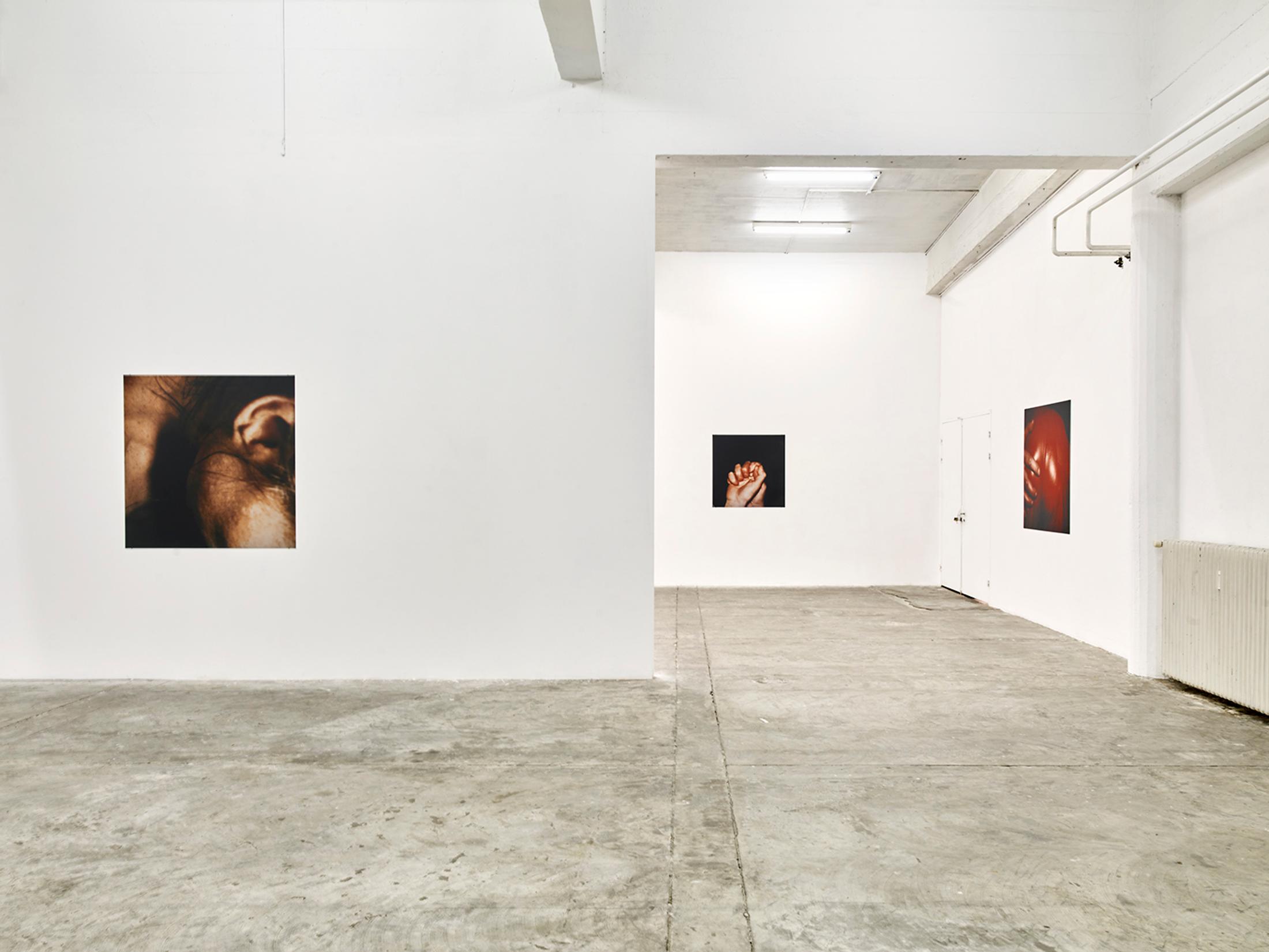 Exhibition View Solo Show «Hannah Villiger» at CIRCUIT, Lausanne, 2023-2024 / Photo: James Pascale / Courtesy: Foundation The estate of Hannah Villiger and CIRCUIT, Centre d'art contemporain