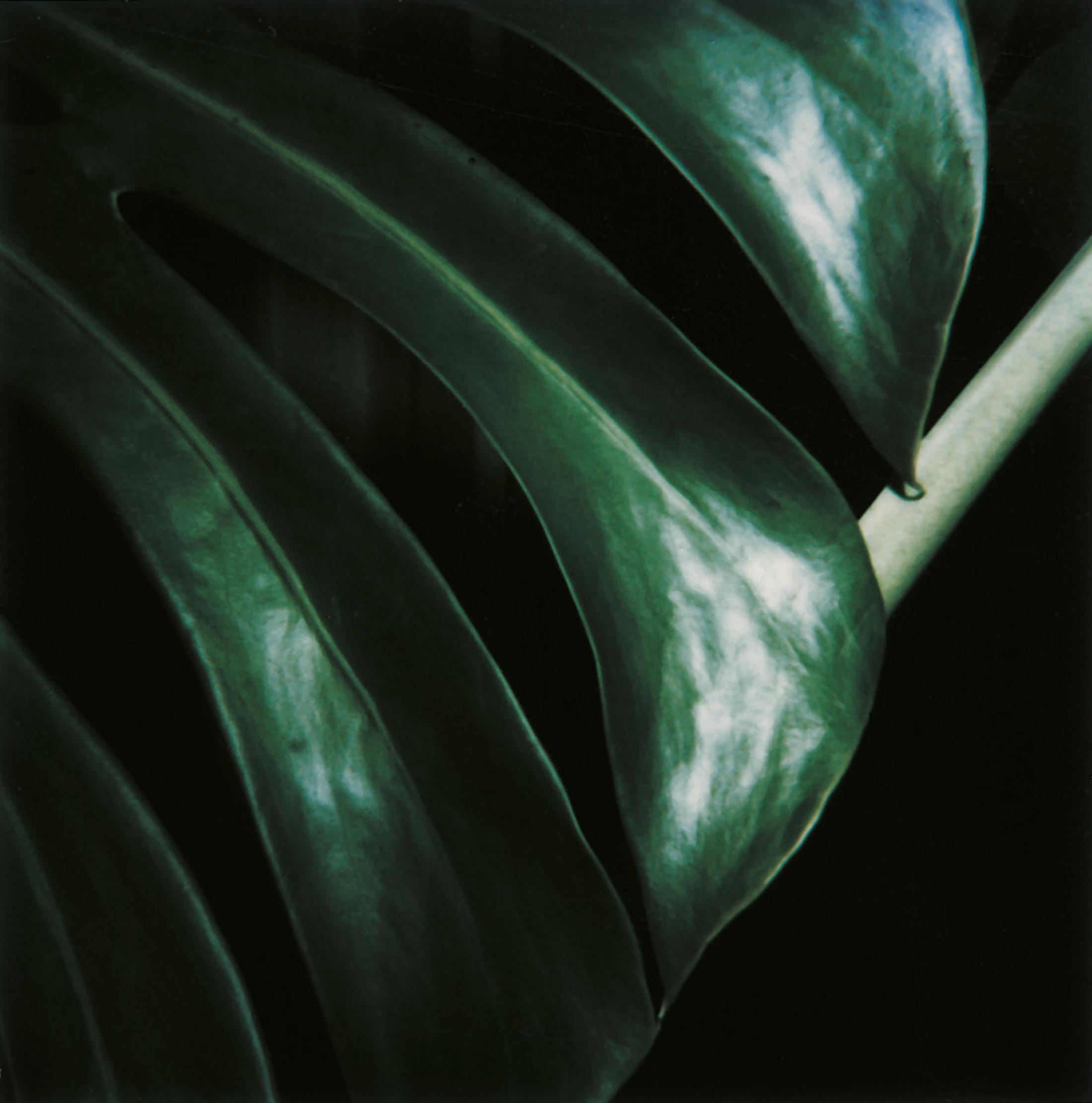 Exhibition View Solo Show «Hannah Villiger» at CIRCUIT, Lausanne, 2023-2024 / Photo: Foundation The estate of Hannah Villiger / Courtesy: Foundation The estate of Hannah Villiger and CIRCUIT, Centre d'art contemporain