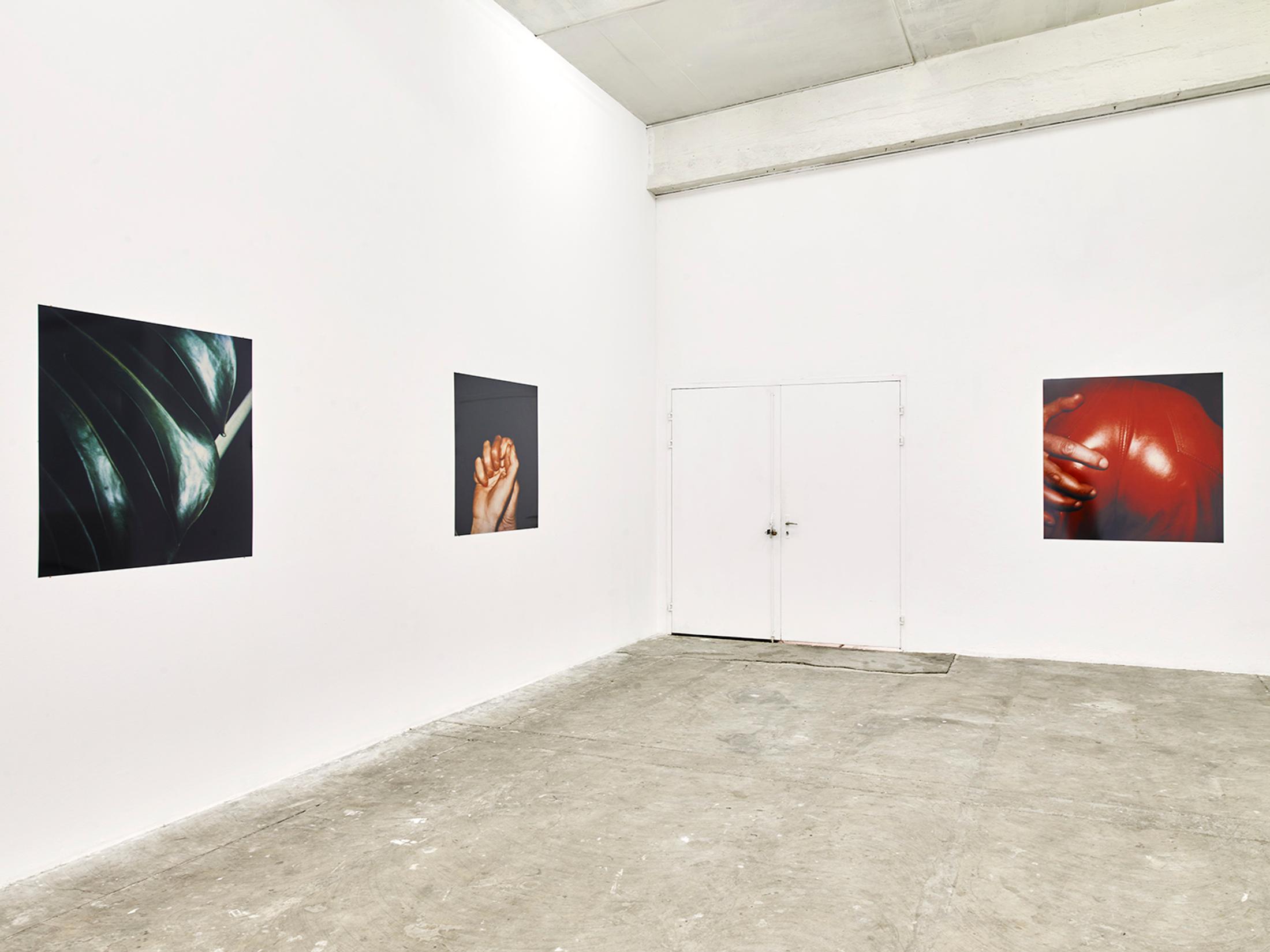 Exhibition View Solo Show «Hannah Villiger» at CIRCUIT, Lausanne, 2023-2024 / Photo: James Pascale / Courtesy: Foundation The estate of Hannah Villiger and CIRCUIT, Centre d'art contemporain