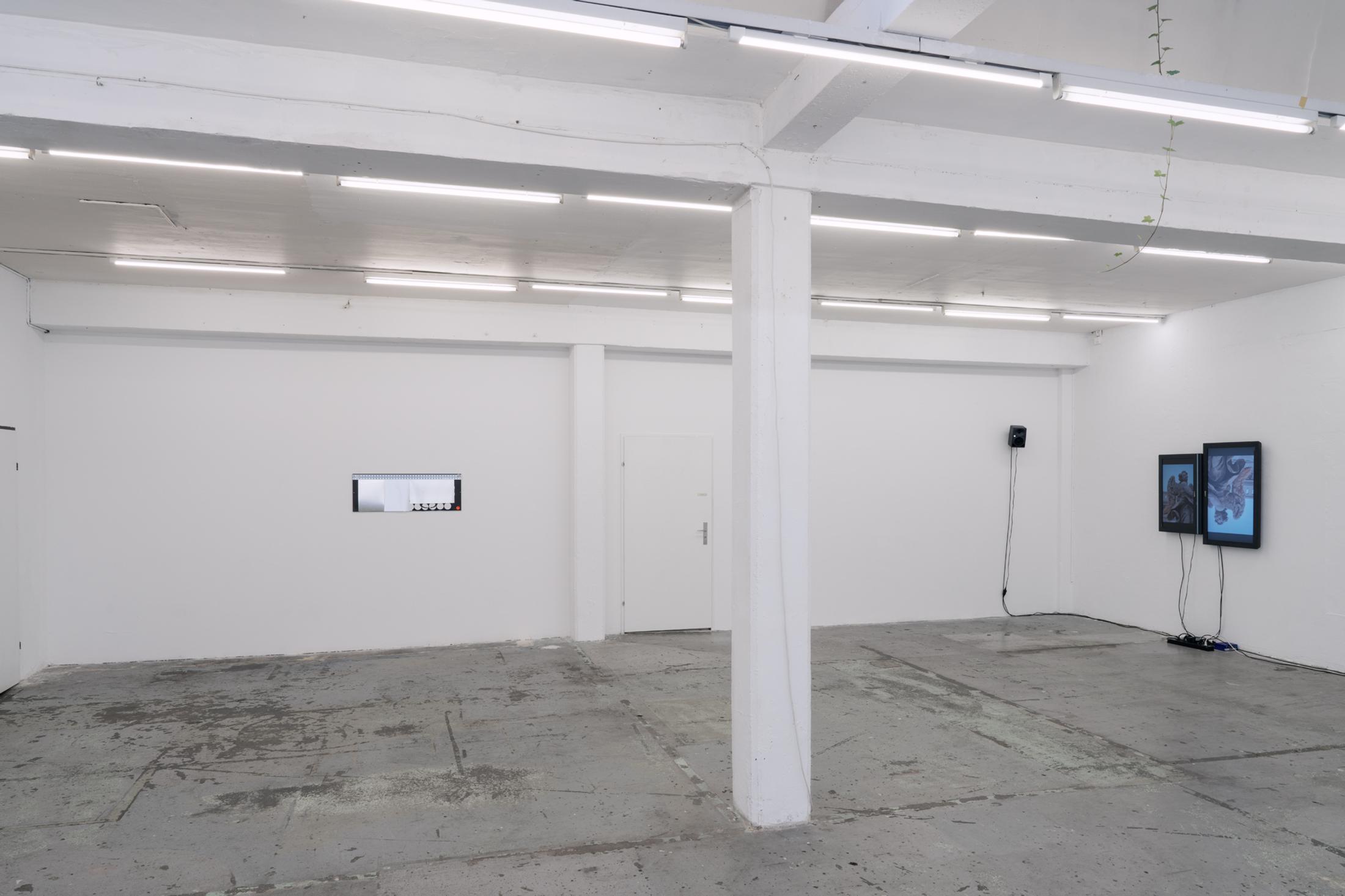 Exhibition View Duo Show «Image Volume» at Toxi, Zurich, 2024 / Photo: Thomas Julier / Courtesy: the artists and Toxi Space