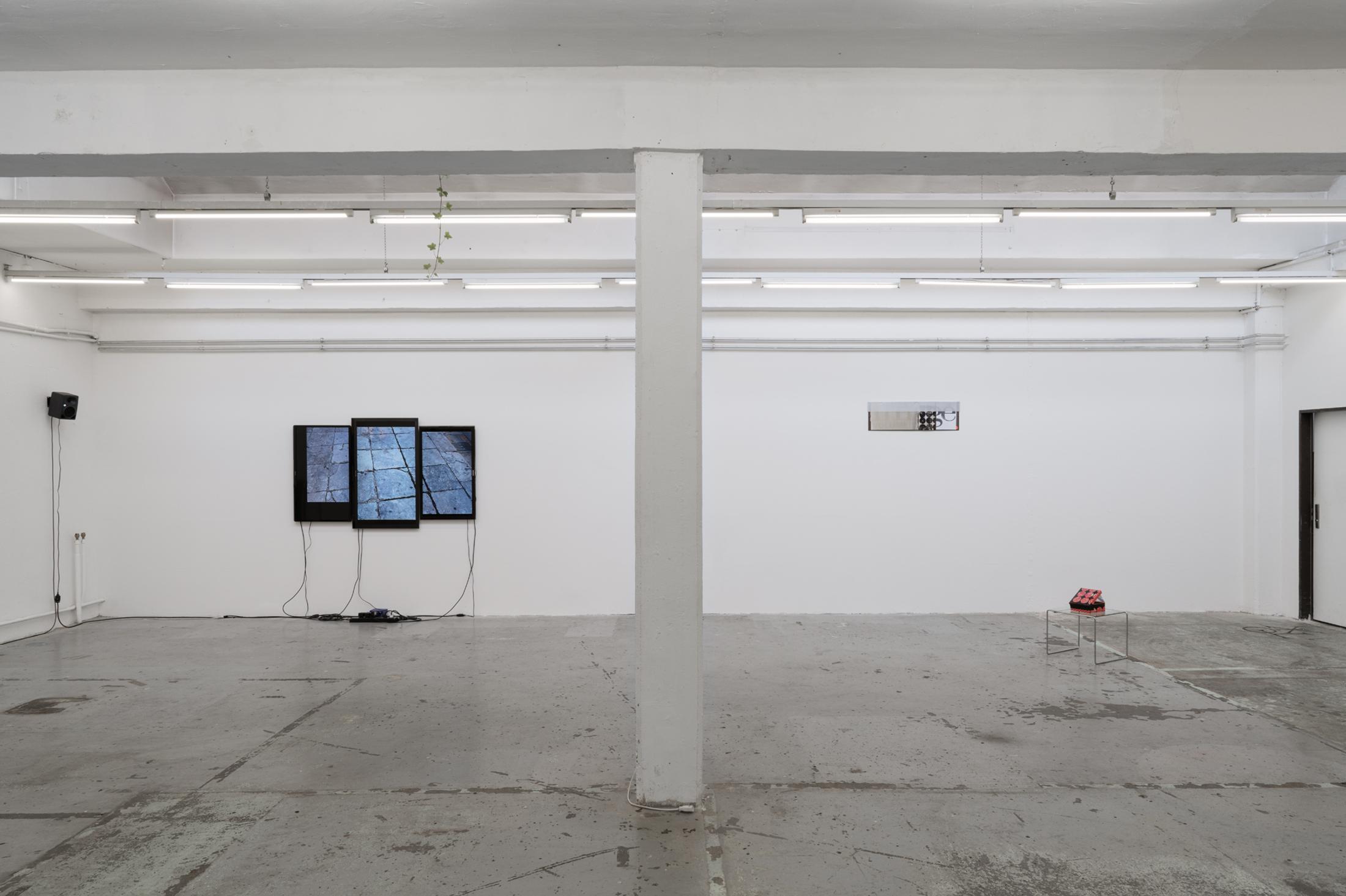 Exhibition View Duo Show «Image Volume» at Toxi, Zurich, 2024 / Photo: Thomas Julier / Courtesy: the artists and Toxi Space