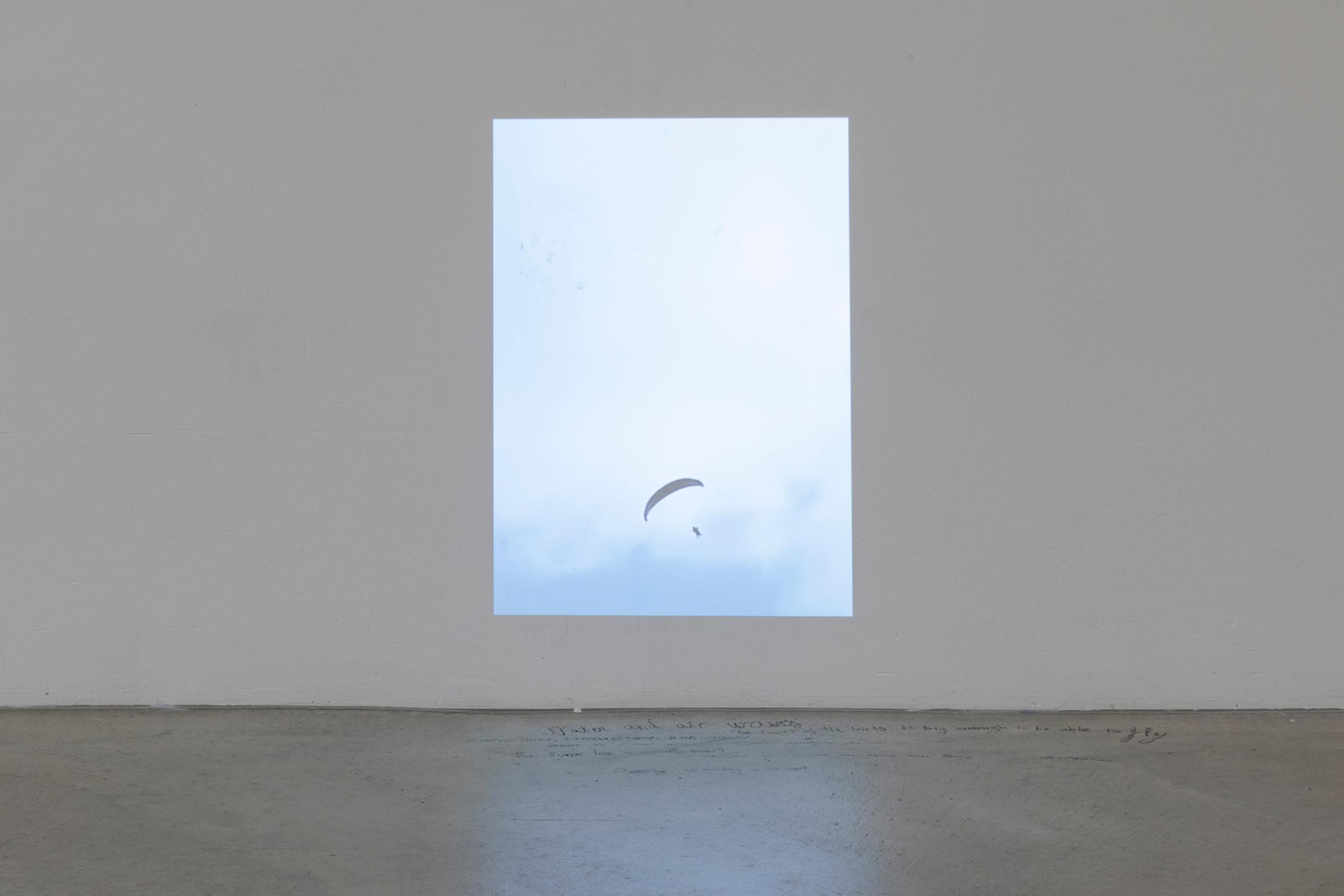 Exhibition View Group Show «Instant Rumor; view on Noa & Lara Castro Lema, Notas sobre flotar e caer (Notes on floating and falling) with Leonardo Bürgi, Amélie Bodenmann, Nina Rieben, Margherita Raso single
channel video projection, sound, 15’48’’, 2024» at Ausstellungsraum Klingental, Basel, 2024 / Photo: Nina Rieben / Courtesy: the artists and Ausstellungsraum Klingental