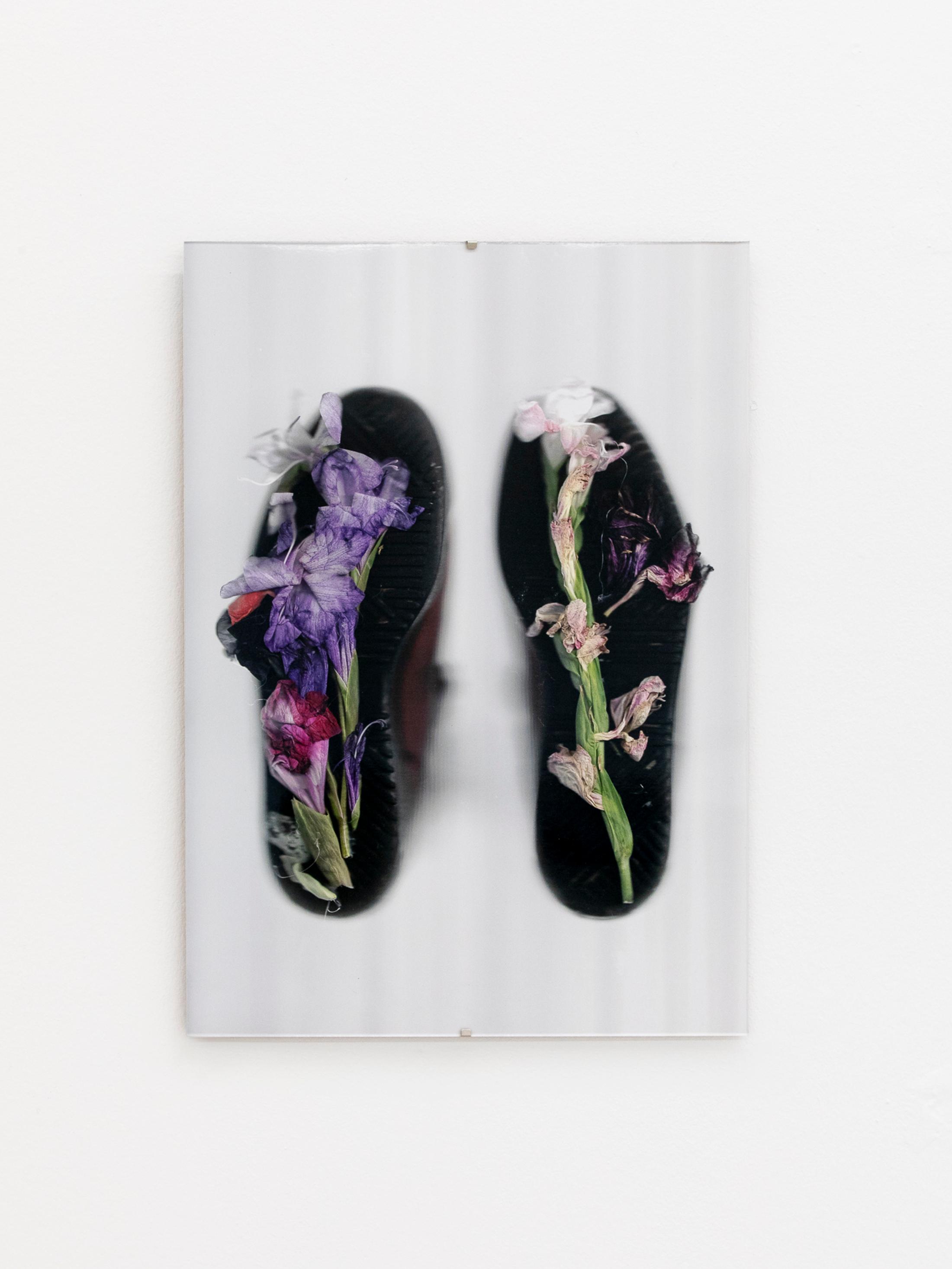 Exhibition View Group Show «Instant Rumor; view on Nina Rieben, intention walks with Amélie Bodenmann Floating with your shoes
on my feet trying to understand where you are (time in between) Linda’s shoes and Jove’s flowers» at Ausstellungsraum Klingental, Basel, 2024 / Photo: Nina Rieben / Courtesy: the artists and Ausstellungsraum Klingental