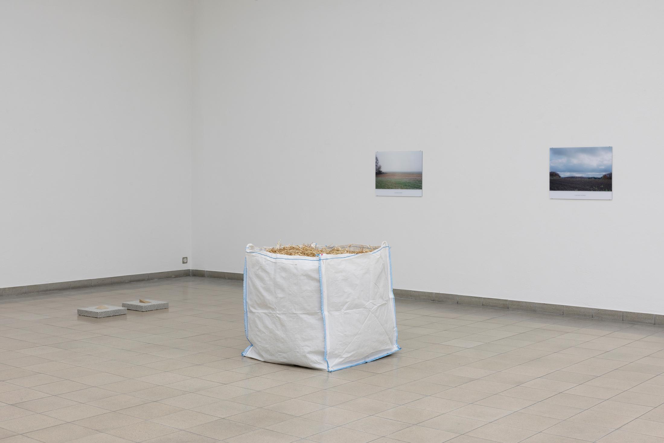 Exhibition View Solo Show Jay Chung & Q Takeki Maeda «GNOMONS 髀» at Kunsthaus Glarus, Glarus, 2024 / Photo: Gina Folly / Courtesy: the artists and Kunsthaus Glarus