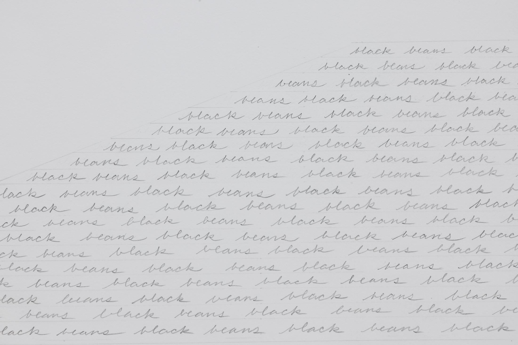 Exhibition View Solo Show Jay Chung & Q Takeki Maeda «GNOMONS 髀; view on Jay Chung & Q Takeki Maeda, Black Beans, 2024 (Detail), Pencil on cotton paper, 59 x ~137 cm» at Kunsthaus Glarus, Glarus, 2024 / Photo: Gina Folly / Courtesy: the artists and Kunsthaus Glarus