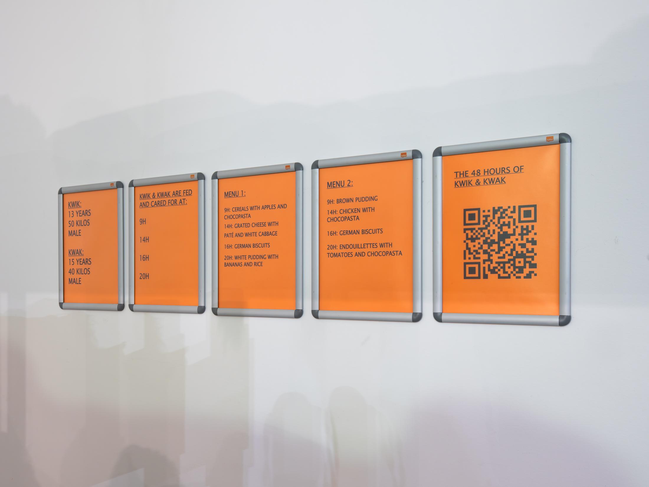 Exhibition View Duo Show Jos De Gruyter & Harald Thys «Impressions de Biel» at Kunsthaus Biel / Centre d'Art Bienne, Biel/Bienne, 2024 / Photo: Lea Kunz / Courtesy: the artists and Kunsthaus Biel