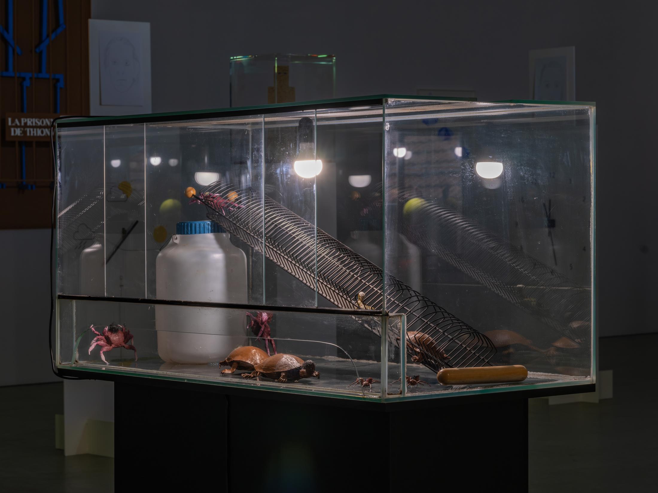 Exhibition View Duo Show Jos De Gruyter & Harald Thys «Impressions de Biel; view on MICRO MUNDO 10, 2023, terrarium on wooden pedestal, 3D-printed animals, mixed media» at Kunsthaus Biel / Centre d'Art Bienne, Biel/Bienne, 2024 / Photo: Lea Kunz / Courtesy: the artists and KIN Brussels