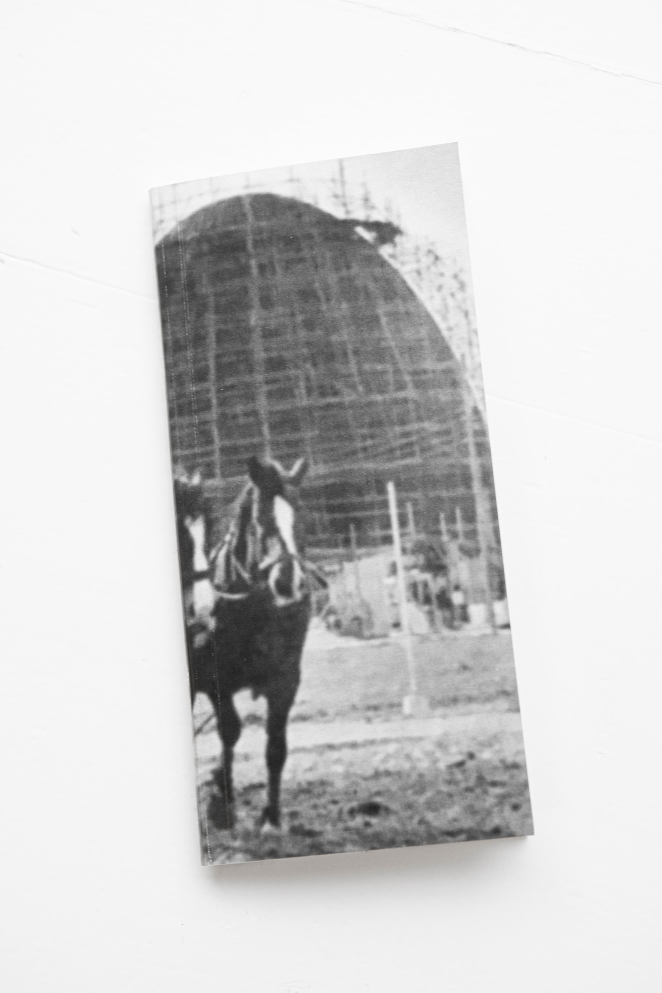 Exhibition View Solo Show Julia Znoj «BASS MY TRESPASS» at Krone Couronne, Biel/Bienne, 2025 / Photo: Michal Schorro / Courtesy: the artist and Krone Couronne