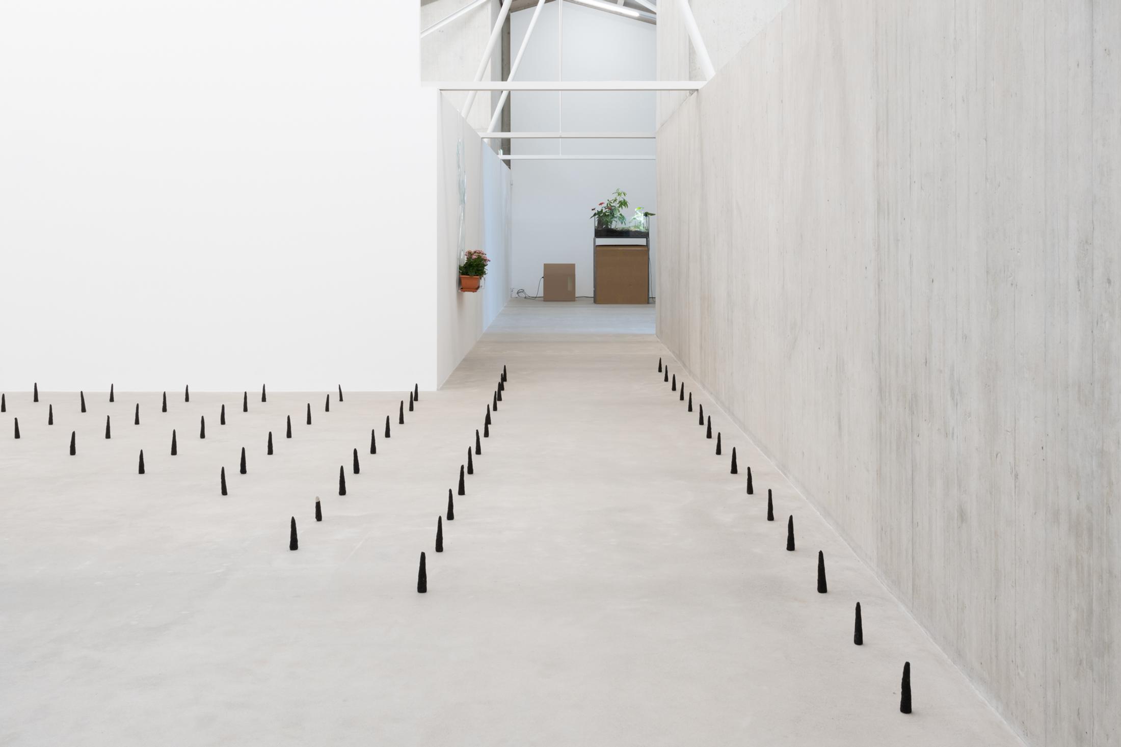 Exhibition View Solo Show Leonardo Bürgi Tenorio «the paths we walk ; view on pirámides del olvido, 2025» at Kunsthaus Baselland, Baselland, 2025 / Photo: Finn Curry / Courtesy of the artist