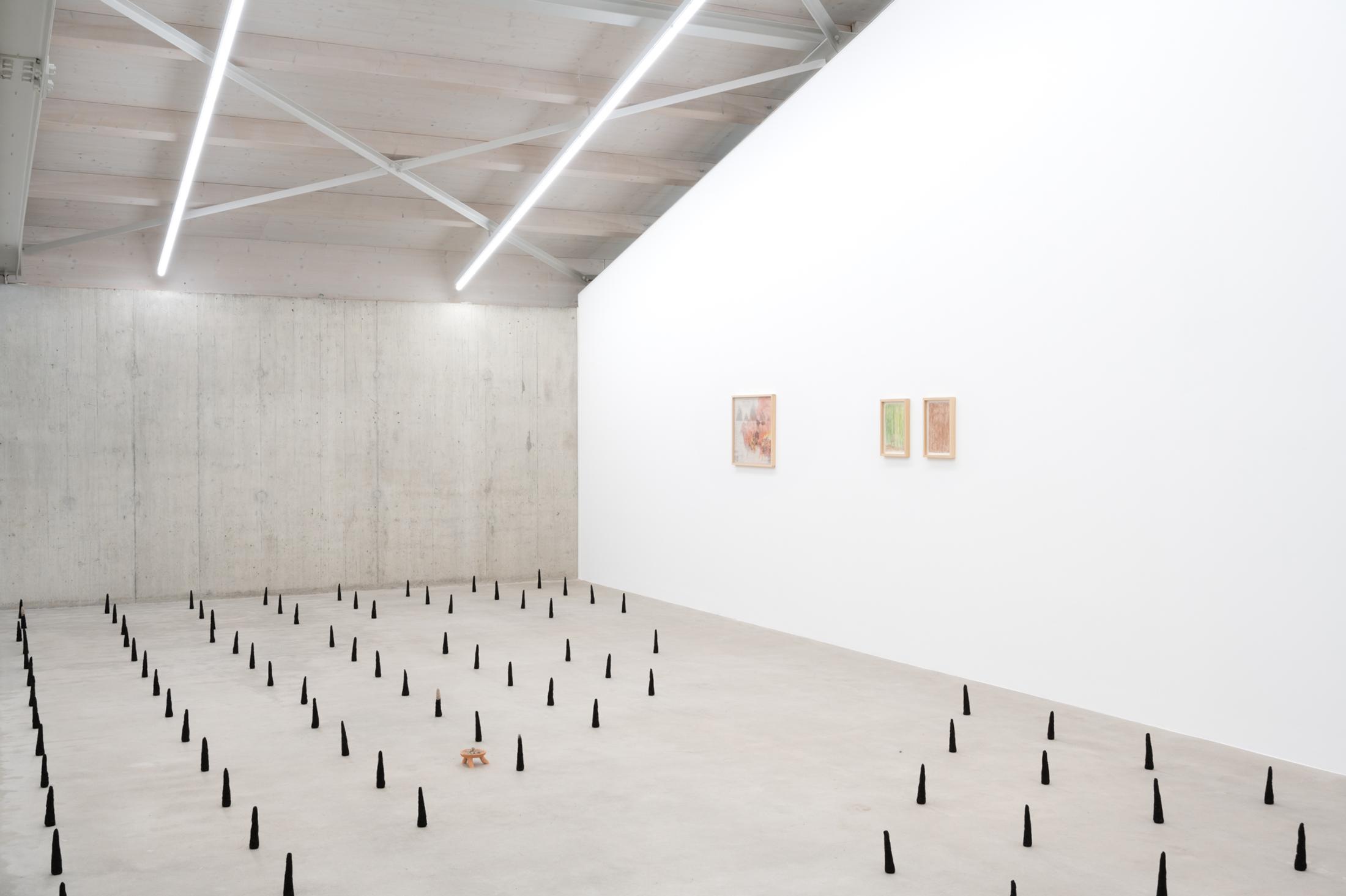 Exhibition View Solo Show Leonardo Bürgi Tenorio «the paths we walk» at Kunsthaus Baselland, Baselland, 2025 / Photo: Finn Curry / Courtesy of the artist
