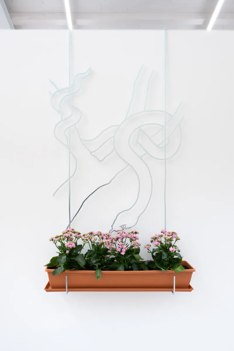 Exhibition View Solo Show Leonardo Bürgi Tenorio «the paths we walk ; view on Symbolkasten no. 3, 2025» at Kunsthaus Baselland, Baselland, 2025 / Photo: Finn Curry / Courtesy of the artist