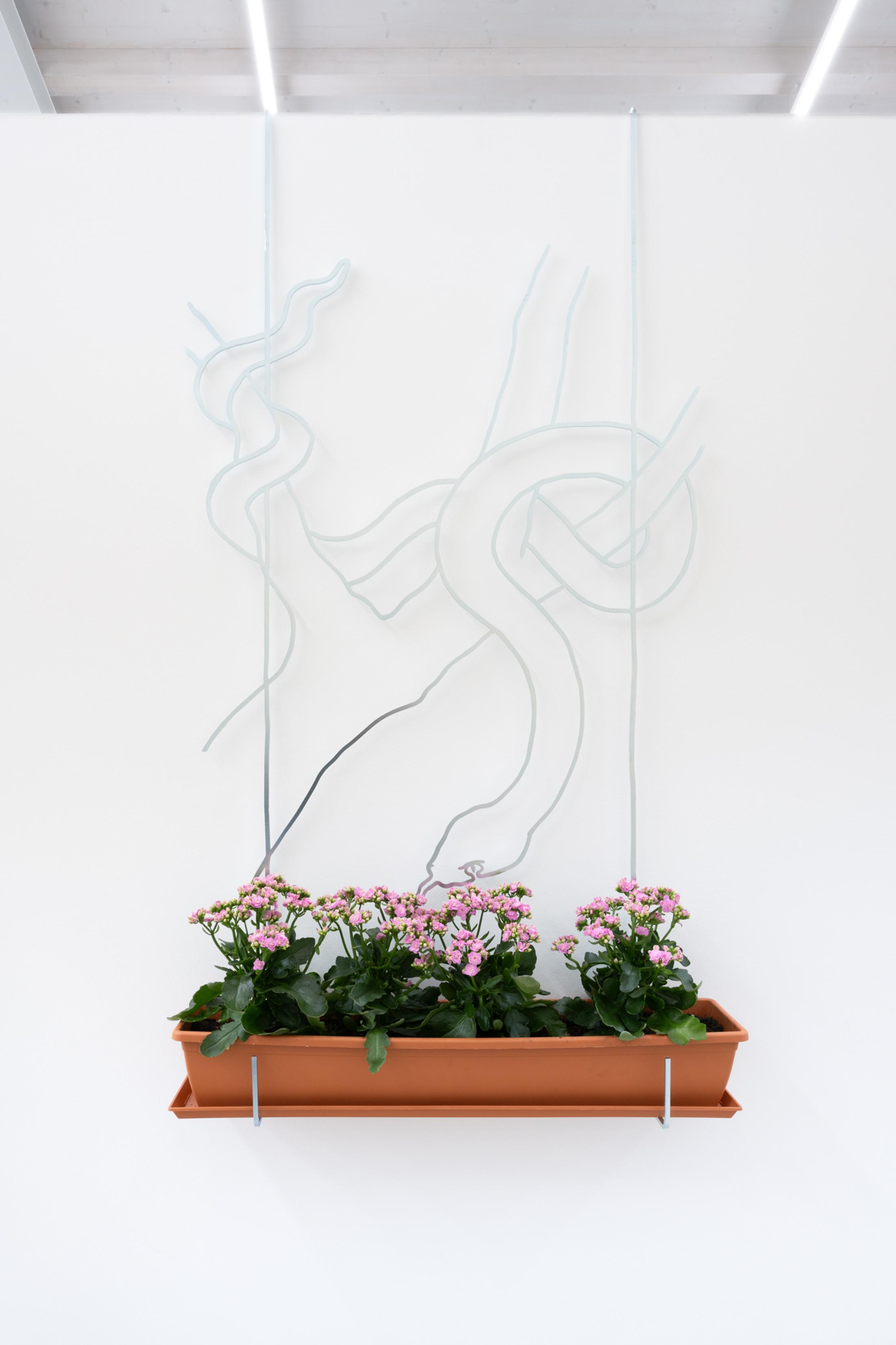 Exhibition View Solo Show Leonardo Bürgi Tenorio «the paths we walk ; view on Symbolkasten no. 3, 2025» at Kunsthaus Baselland, Baselland, 2025 / Photo: Finn Curry / Courtesy of the artist