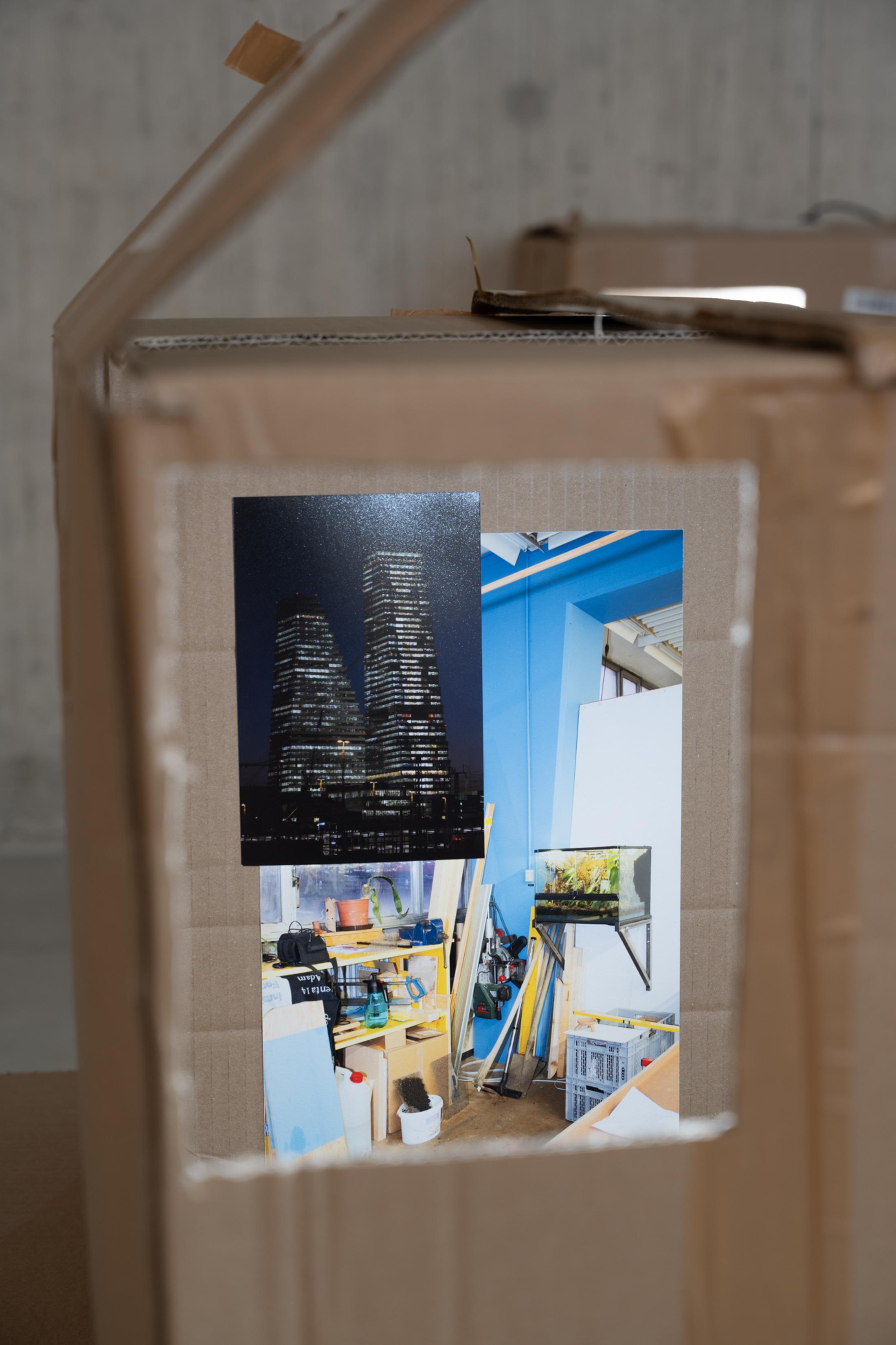 Exhibition View Solo Show Leonardo Bürgi Tenorio «the paths we walk» at Kunsthaus Baselland, Baselland, 2025 / Photo: Finn Curry / Courtesy of the artist