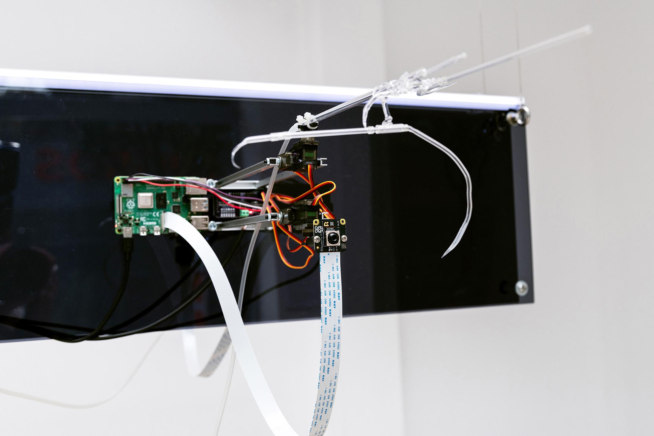 Exhibition View Solo Show Lorenzo Lunghi «Temporale» at Bacio Collective, Berne, 2024 / Photo: Bacio Collective / Courtesy: The artist and Bacio Collective