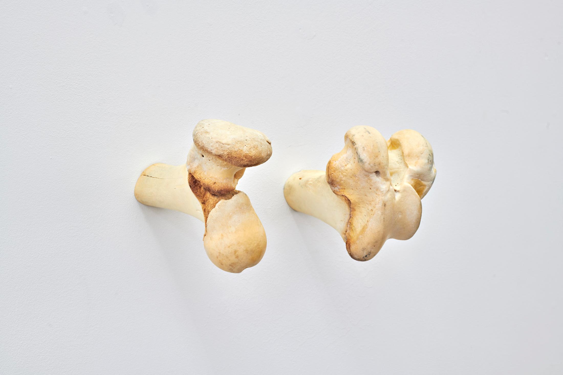 Exhibition View Solo Show Lucas Herzig «Long-Term Oriented» at Kulturfolger, Zurich, 2024 / Photo: Anna Maysuk / Courtesy: The artist and Kulturfolger