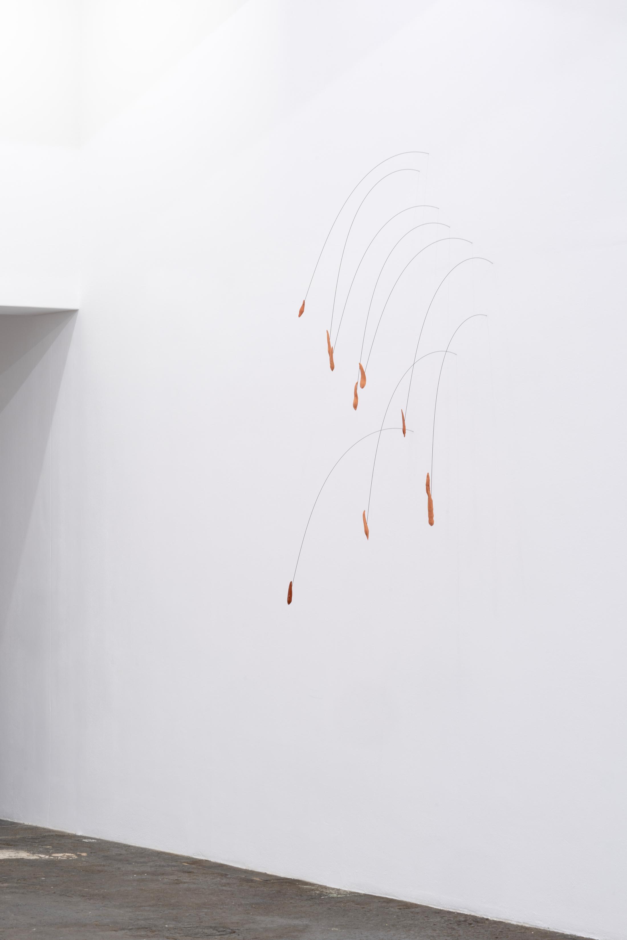 Exhibition View Solo Show Marta Margnetti «Serenata; view on Marta Margnetti, Wisteria Drops, 2024» at Kunst Halle Sankt Gallen, St. Gallen, 2024 / Photo: E. Sommer / Courtesy: The artist and Kunst Halle Sankt Gallen