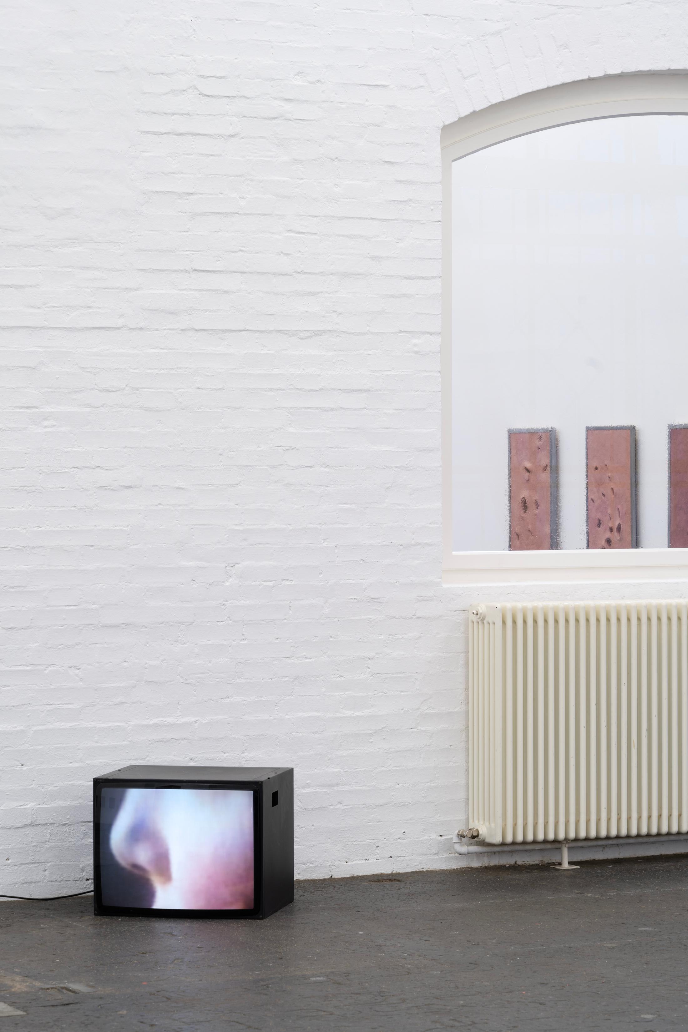 Exhibition View Solo Show Marta Margnetti «Serenata; view on Marta Margnetti, Autoritratto con mamma (pizzicotti), 2024» at Kunst Halle Sankt Gallen, St. Gallen, 2024 / Photo: E. Sommer / Courtesy: The artist and Kunst Halle Sankt Gallen