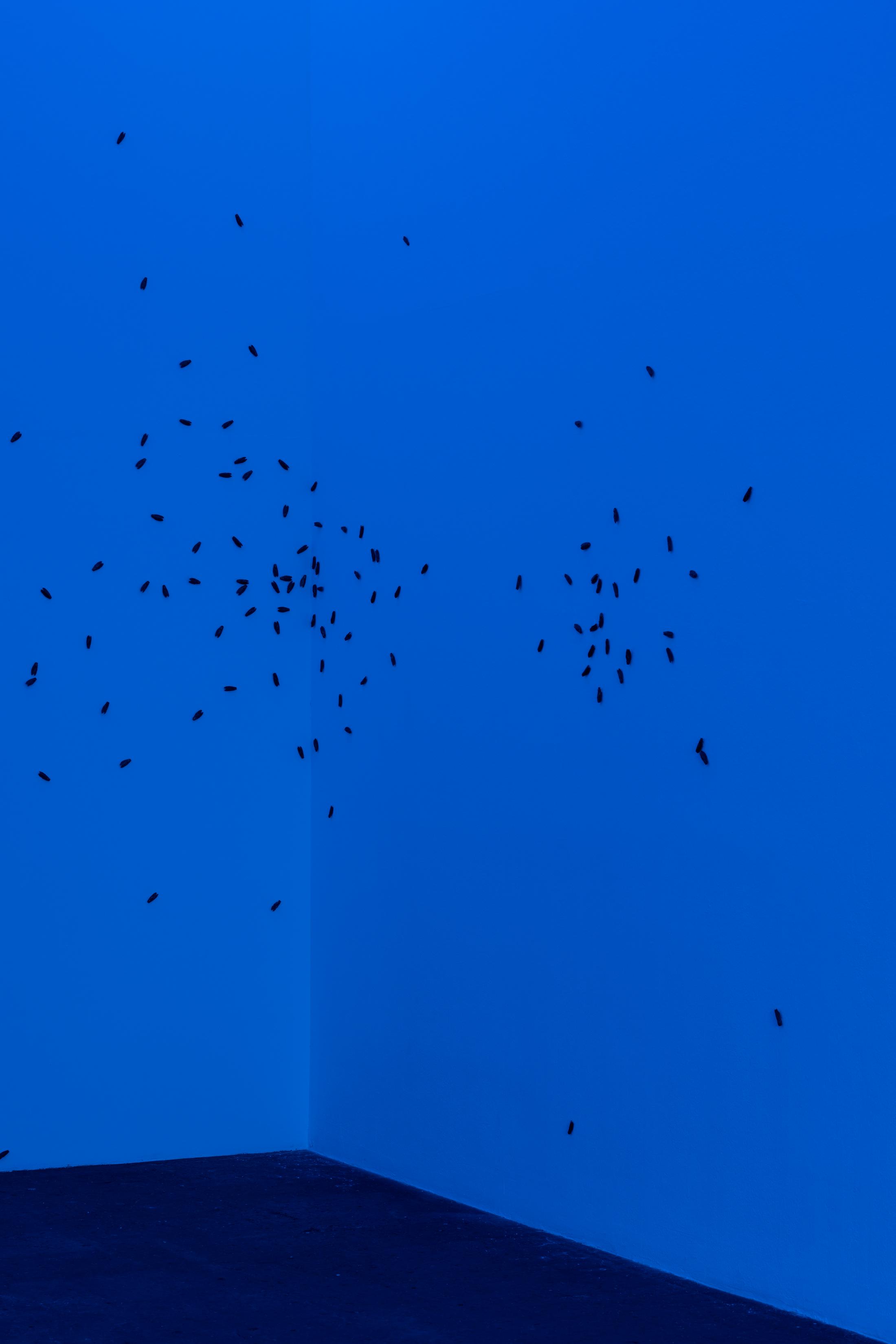 Exhibition View Solo Show Marta Margnetti «Serenata; view on Marta Margnetti, Coro per Serenata, 2020-2024» at Kunst Halle Sankt Gallen, St. Gallen, 2024 / Photo: E. Sommer / Courtesy: The artist and Federal Office of Culture, Berne