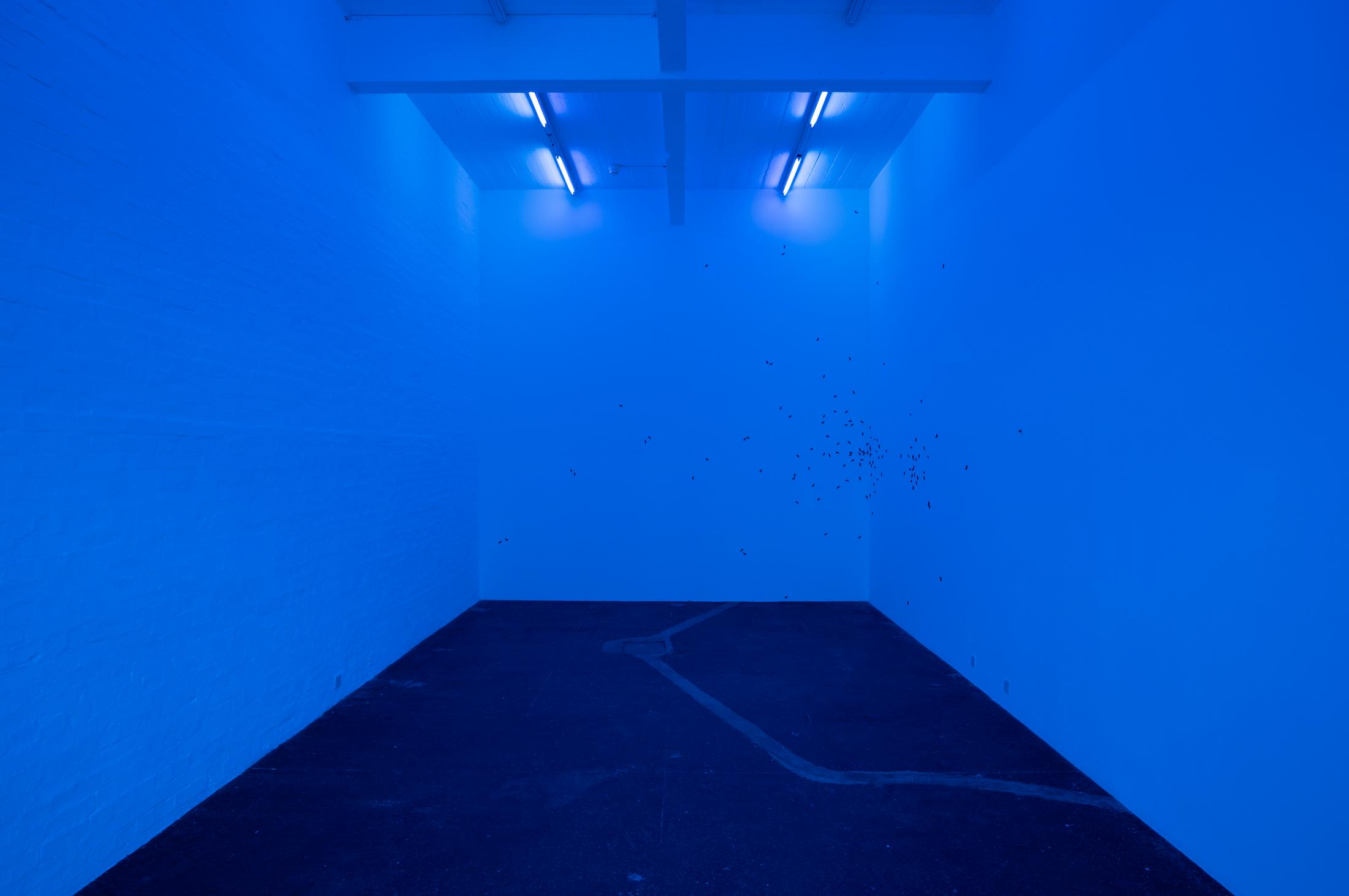 Exhibition View Solo Show Marta Margnetti «Serenata; view on Marta Margnetti, Coro per Serenata, 2020-2024» at Kunst Halle Sankt Gallen, St. Gallen, 2024 / Photo: E. Sommer / Courtesy: The artist and Federal Office of Culture, Berne