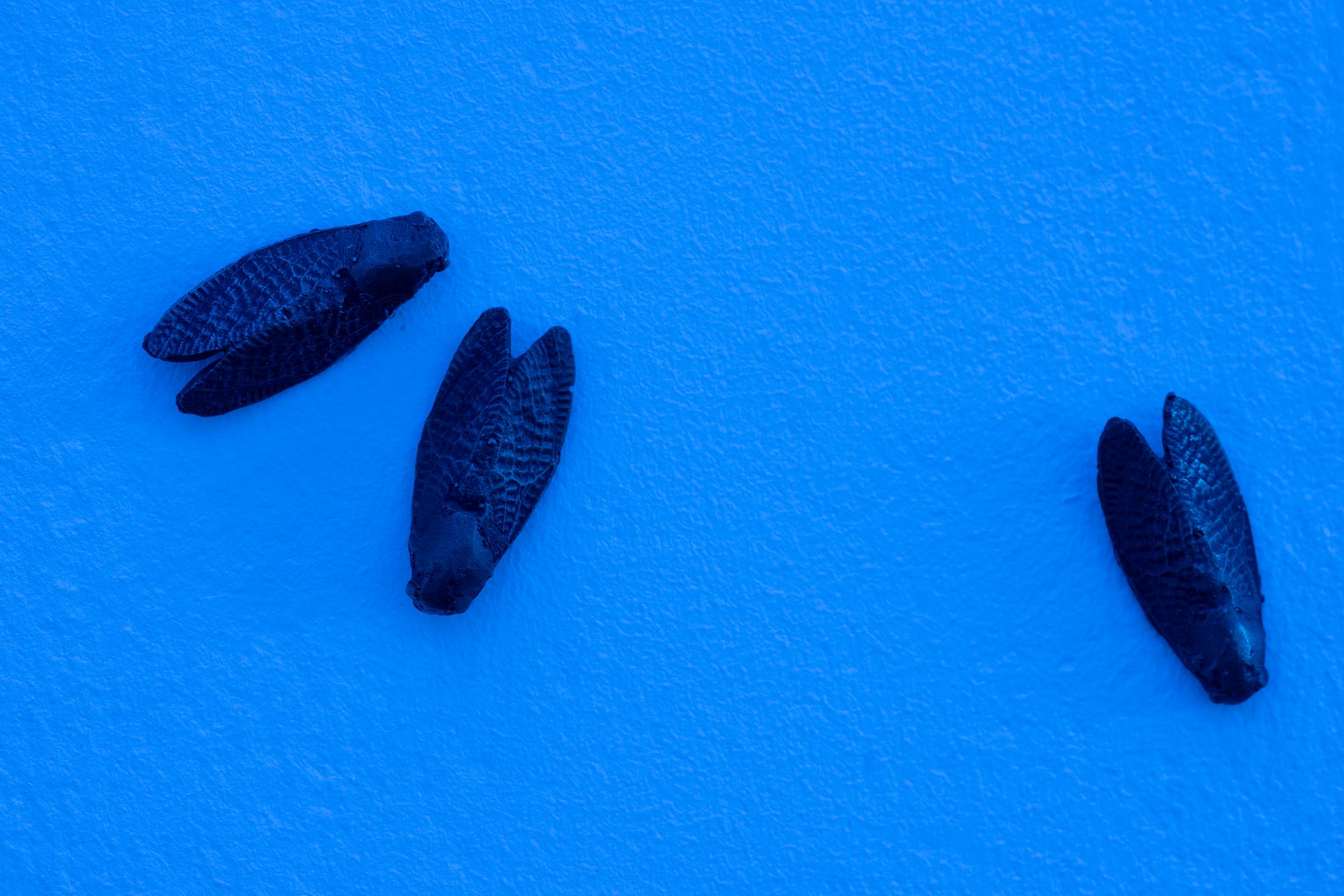 Exhibition View Solo Show Marta Margnetti «Serenata; view on Marta Margnetti, Coro per Serenata, 2020-2024» at Kunst Halle Sankt Gallen, St. Gallen, 2024 / Photo: E. Sommer / Courtesy: The artist and Federal Office of Culture, Berne