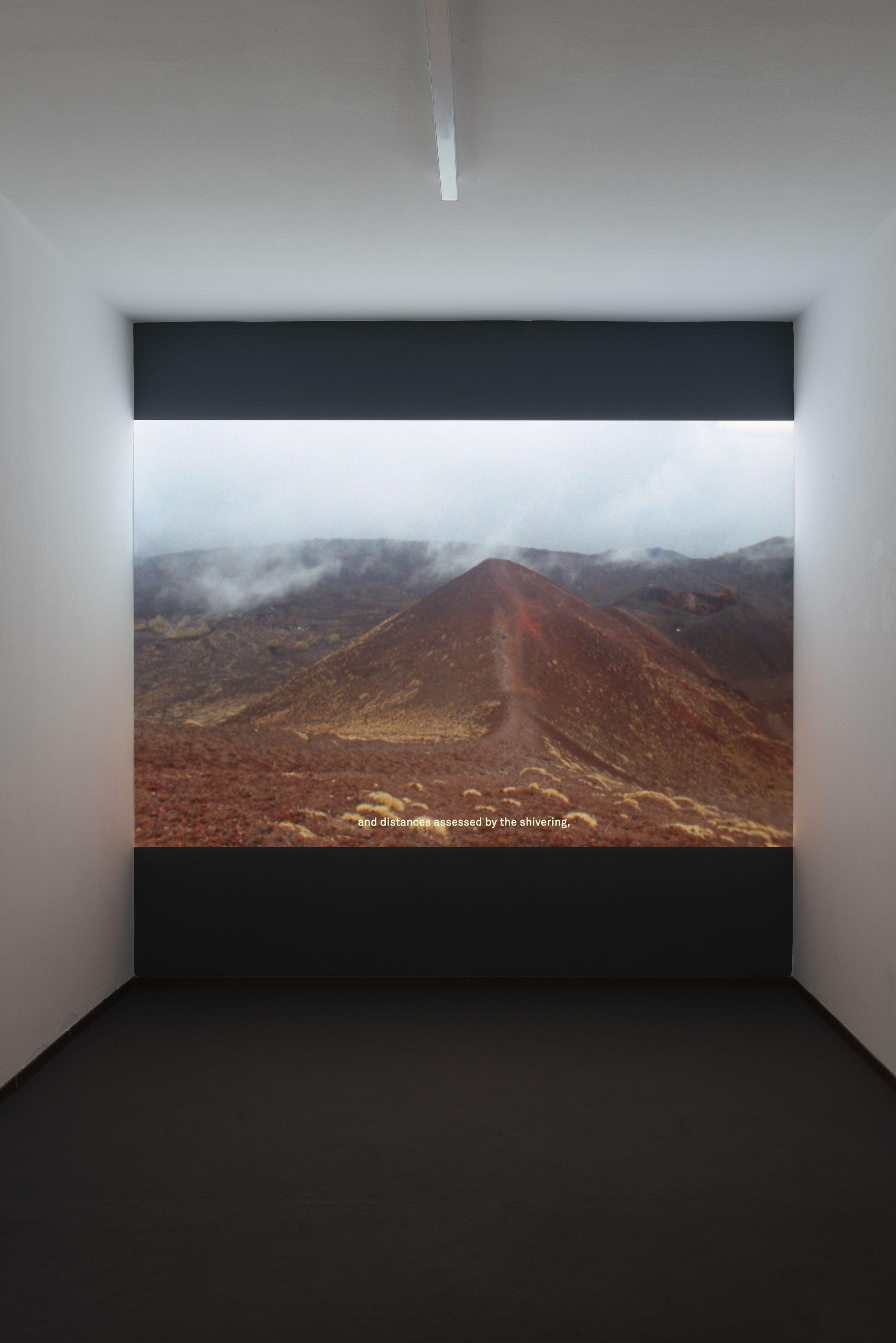 Exhibition View Adele Dipasquale & Hunter Longe Duo Show «In un Vuoto Cielo; view on Adele Dipasquale, Blossoms and fruits at once, 2019, 16mm film transferred in FullHD, 5’15’’» at Sonnenstube, Lugano, 2023-2024 / Photo: Mattia Angelini / Courtesy: the artist and Sonnenstube