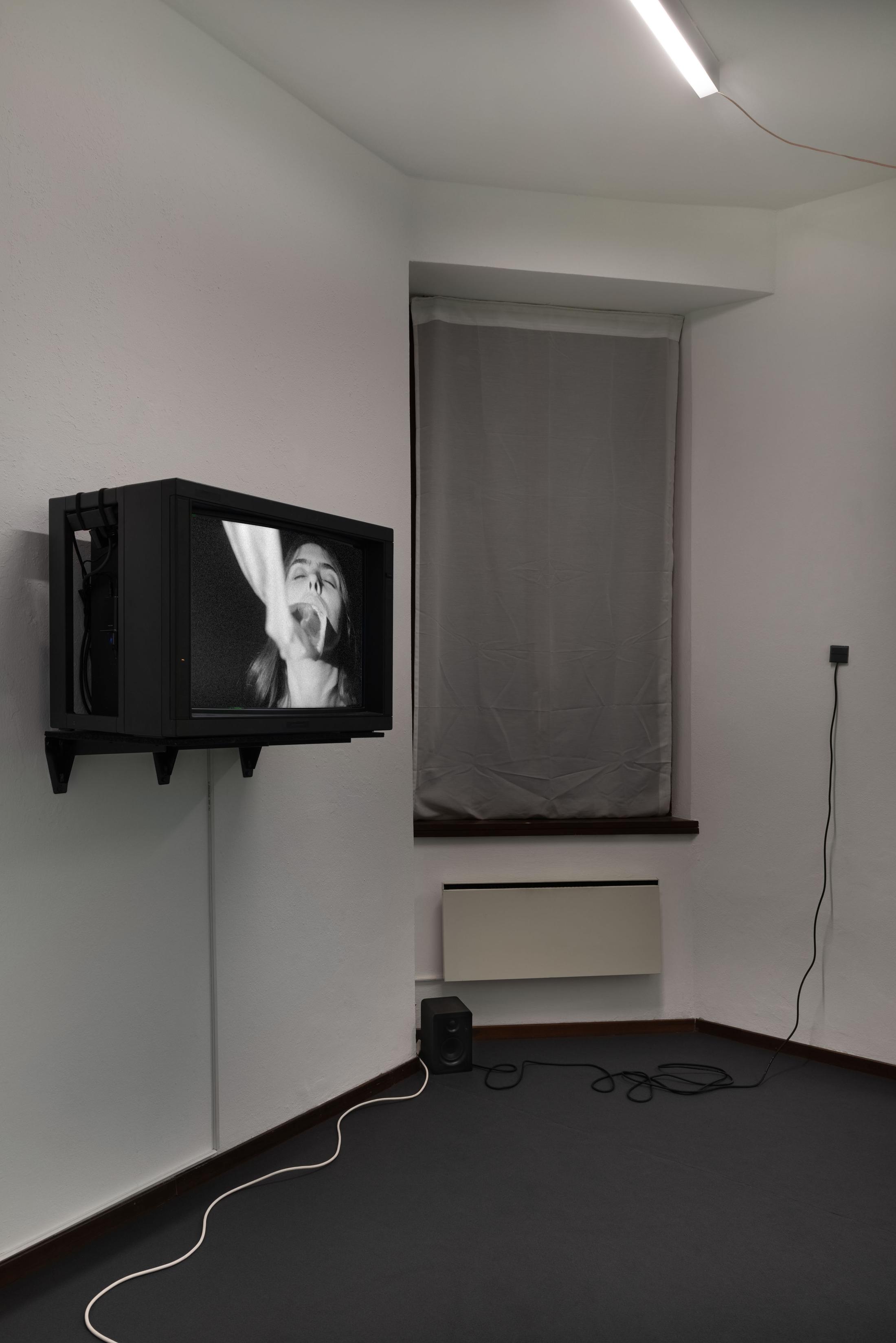 Exhibition View Adele Dipasquale & Hunter Longe Duo Show «In un Vuoto Cielo» at Sonnenstube, Lugano, 2023-2024 / Photo: Mattia Angelini / Courtesy: the artists and Sonnenstube