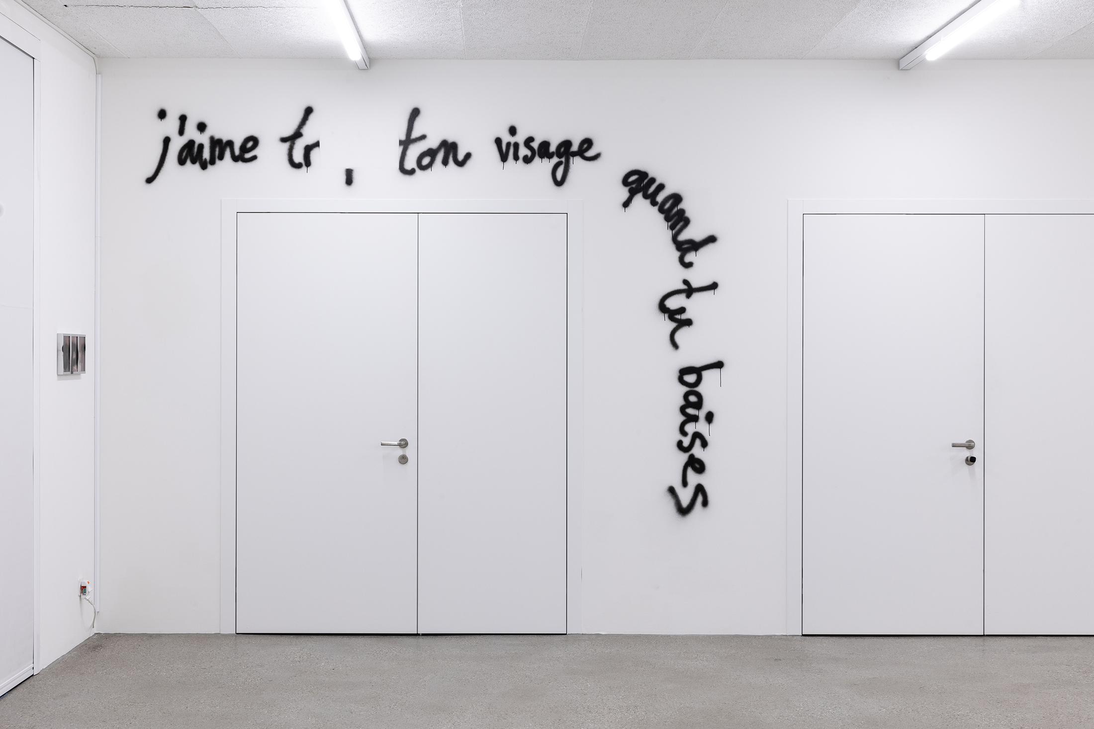 Exhibition View Group Show «All My Loved Ones Like To Fight; view on Mahalia Taje Giotto, Existential Boner, 2023» at CALM - Centre d'Art La Meute, Lausanne, 2023 / Photo: Théo Dufloo / Courtesy: the artist and CALM - Centre d'Art La Meute