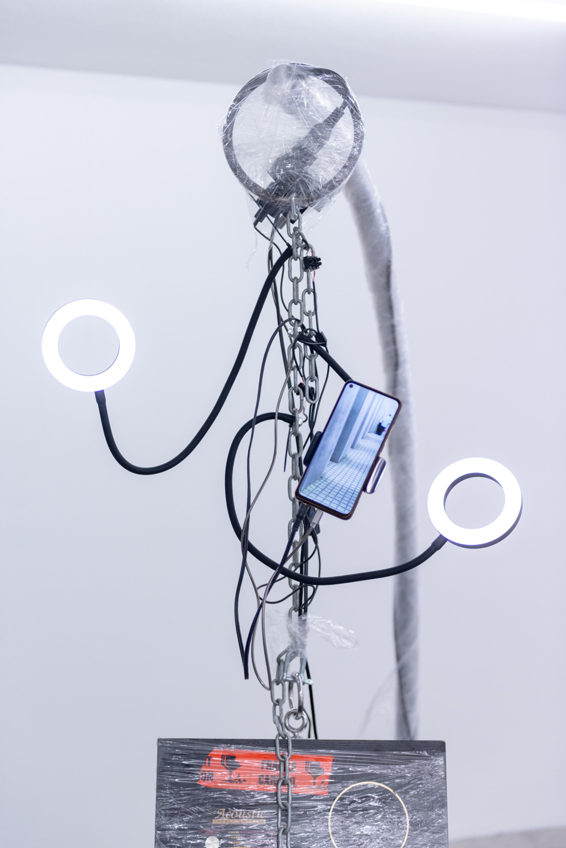 Exhibition View bleed Solo Show «numb» at Hamlet, Zurich, 2023-2024 / Photo: Wilf Speller / Courtesy: the artists and Hamlet