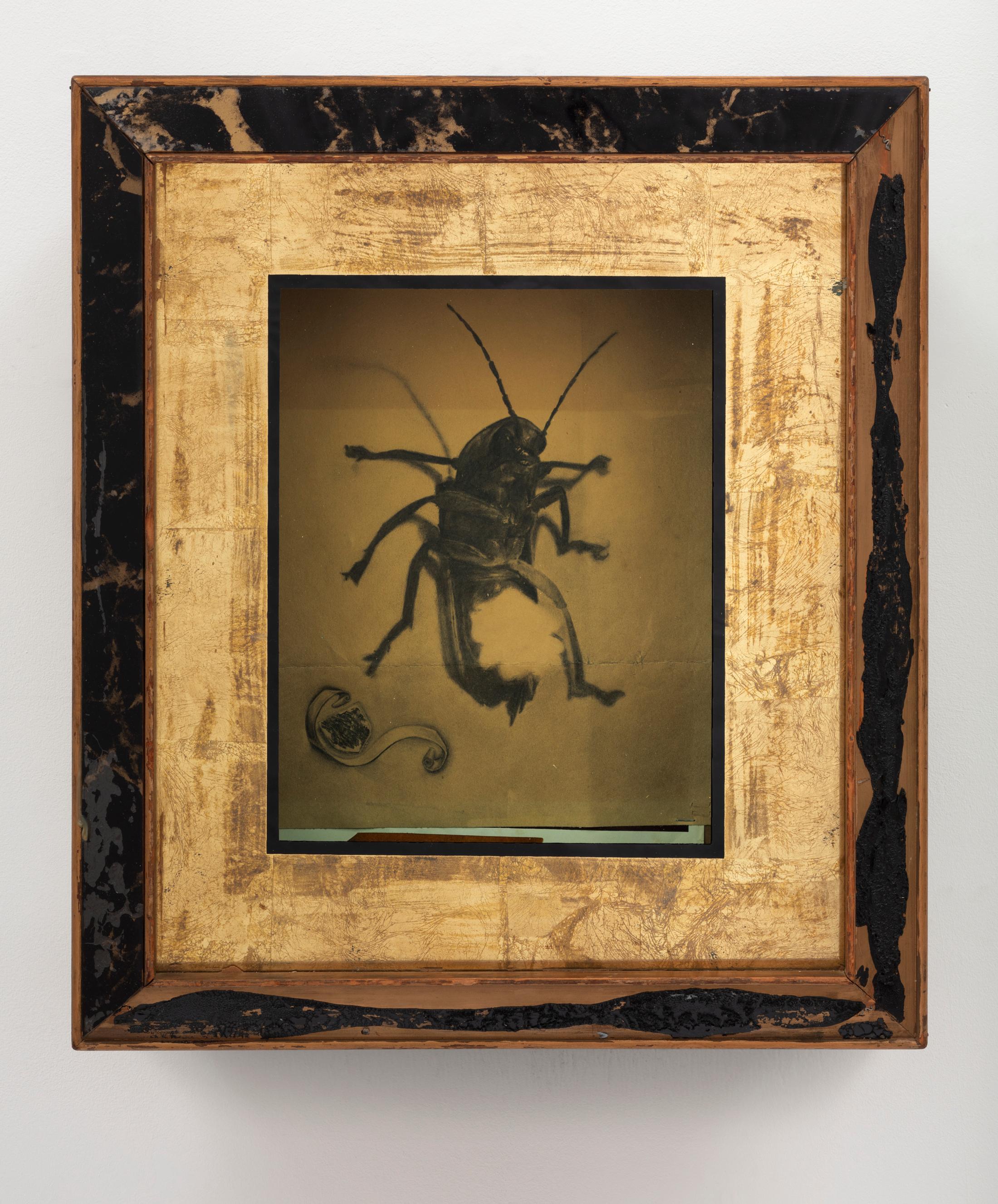 Exhibition View Brad Kronz Solo Show «Nine Types of Industrial Pollution; view on Brad Kronz, Untitled, 2019» at Kunsthalle Friart, Fribourg, 2023 / Photo: Tim Ohler / Courtesy: the artist and Kunsthalle Friart