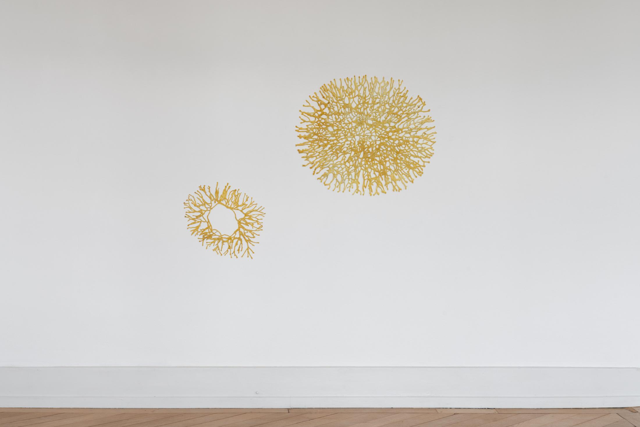 Exhibition View Group Show «Coniunctio; view on Andrea Wolfensberger, Growing Mycelia, 2021» at Kunsthalle Palazzo, Liestal, 2023 / Photo: Jennifer Merlyn Scherler / Courtesy: the artist and Kunsthalle Palazzo