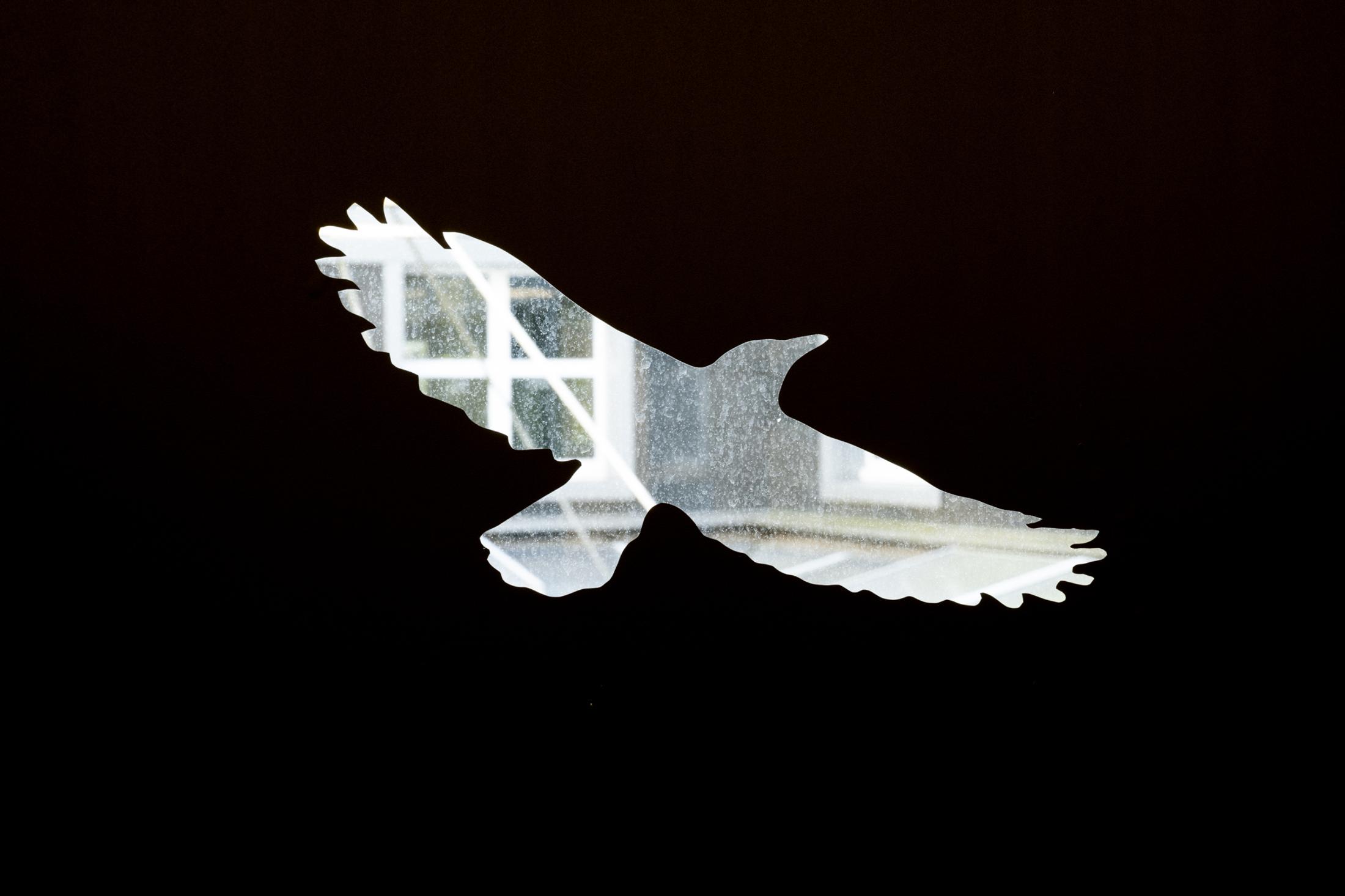 Exhibition View Diogo Pinto Solo Show «Decaf Ballad» at Dietikon Projektraum, Dietikon, 2023 / Photo: Finn Curry / Courtesy: the artist and Dietikon Projektraum