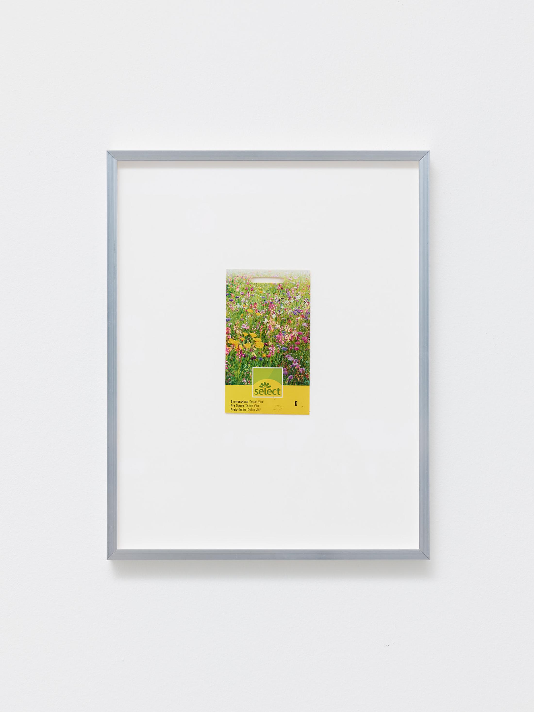 Exhibition View Gina Folly Solo Show «Dolce Vita; view on Gina Folly, Select, Dolce Vita, 2023, sachet of seeds, framed, 38 x 30 x 3 cm» at Centre d'édition contemporaine, Geneva, 2023 / Photo: Sandra Pointet / Courtesy: the artist and Centre d'édition contemporaine