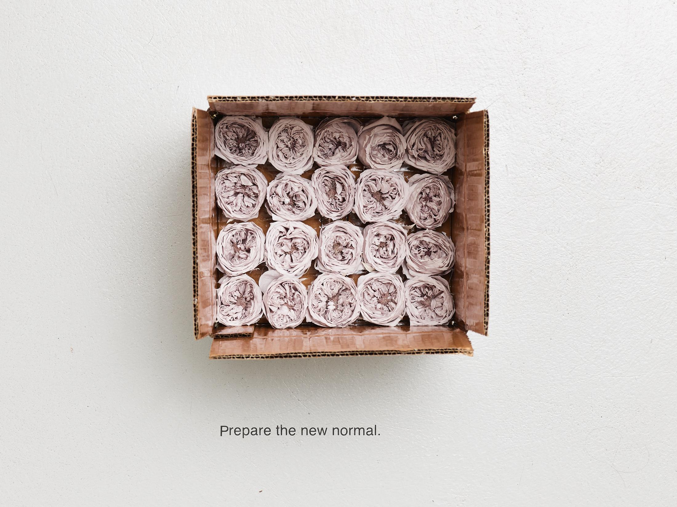 Exhibition View Gina Folly Solo Show «Dolce Vita; view on Gina Folly, Prepare the new normal, 2023, box, varnished cardboard, twenty stabilized grey roses, 20 x 23 x 24 cm» at Centre d'édition contemporaine, Geneva, 2023 / Photo: Sandra Pointet / Courtesy: the artist and Centre d'édition contemporaine