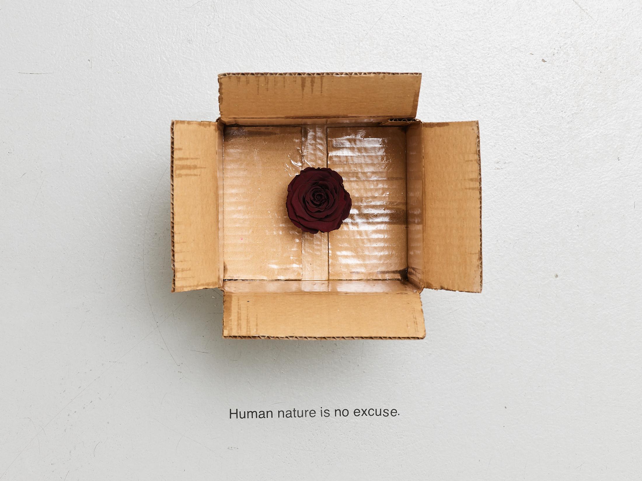 Exhibition View Gina Folly Solo Show «Dolce Vita; view on Gina Folly, Human nature is no excuse, 2023, box, varnished cardboard, one stabilized burgundy rose, 26,5 x 22,5 x 22,5 cm» at Centre d'édition contemporaine, Geneva, 2023 / Photo: Sandra Pointet / Courtesy: the artist and Centre d'édition contemporaine