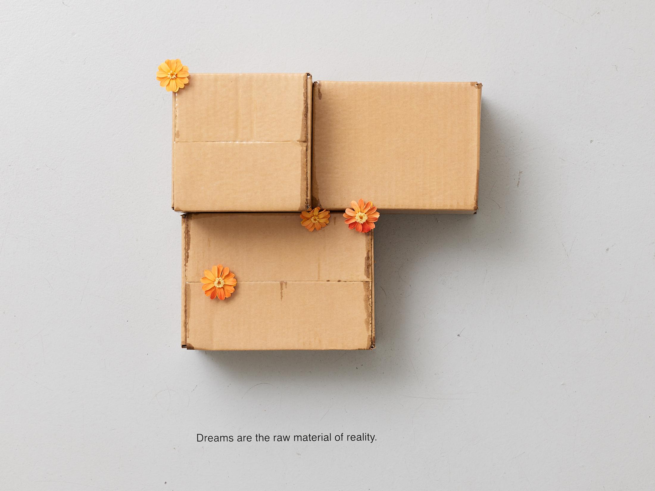 Exhibition View Gina Folly Solo Show «Dolce Vita; view on Gina Folly, Dreams are the raw material of reality, three boxes, varnished cardboard, four stabilized orange zinnias, 35,5 x 31 x 17,5 cm» at Centre d'édition contemporaine, Geneva, 2023 / Photo: Sandra Pointet / Courtesy: the artist and Centre d'édition contemporaine