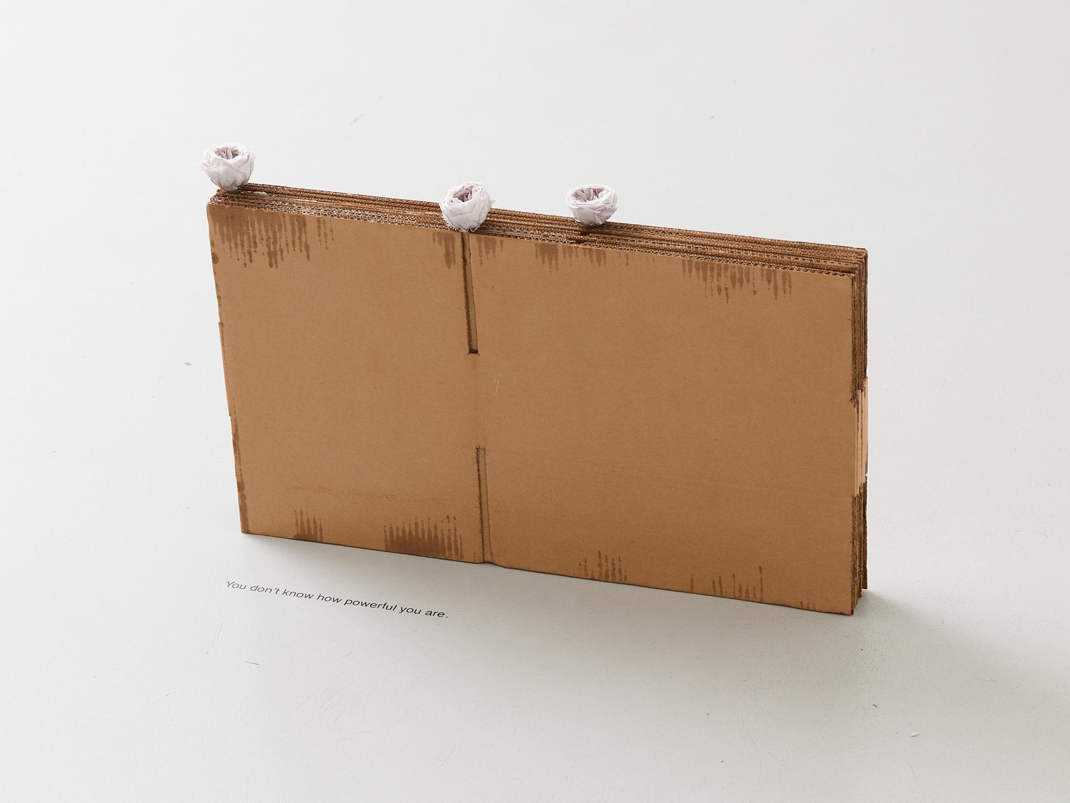 Exhibition View Gina Folly Solo Show «Dolce Vita; view on Gina Folly, You don’t know how powerful you are, 2023, plank, varnished cardboard, three stabilized grey roses, 60 x 37 x 5 cm» at Centre d'édition contemporaine, Geneva, 2023 / Photo: Sandra Pointet / Courtesy: the artist and Centre d'édition contemporaine