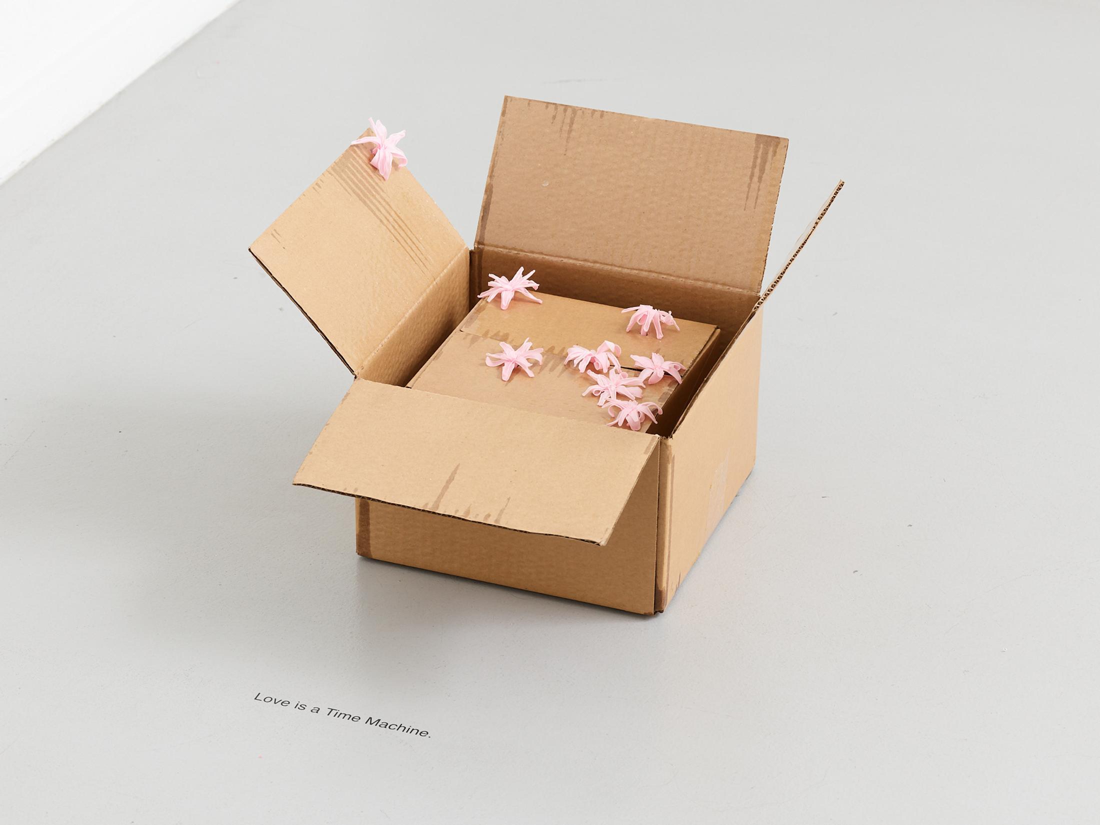 Exhibition View Gina Folly Solo Show «Dolce Vita; view on Gina Folly, Love is a Time Machine, 2023, two boxes, varnished cardboard, eight stabilized pink tuberoses, 45 x 39 x
28,5 cm» at Centre d'édition contemporaine, Geneva, 2023 / Photo: Sandra Pointet / Courtesy: the artist and Centre d'édition contemporaine
