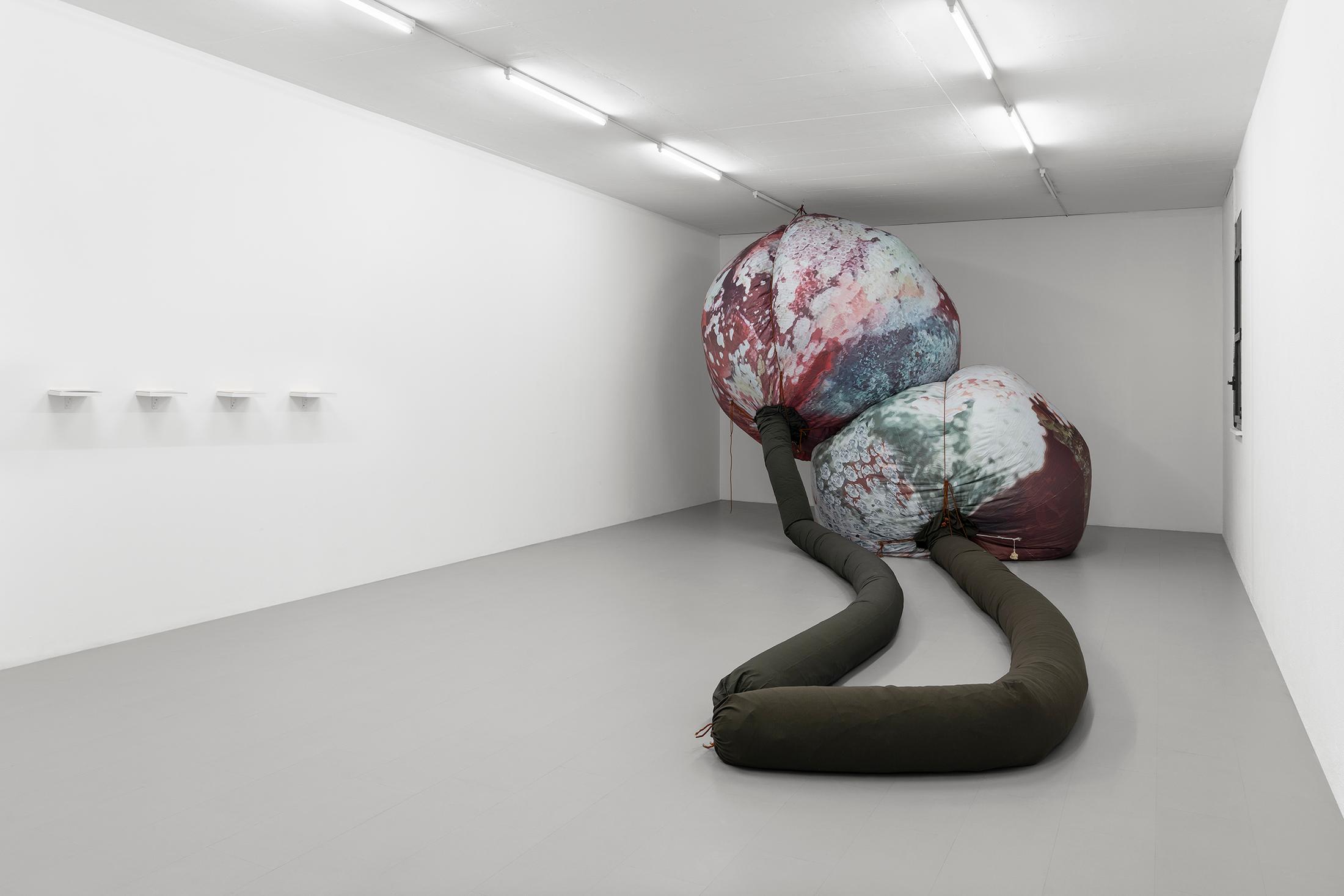 Exhibition View Group Show «Gulp» at La Rada, Locarno, 2023 / Photo: Riccardo Giancola / Courtesy: the artists and La Rada