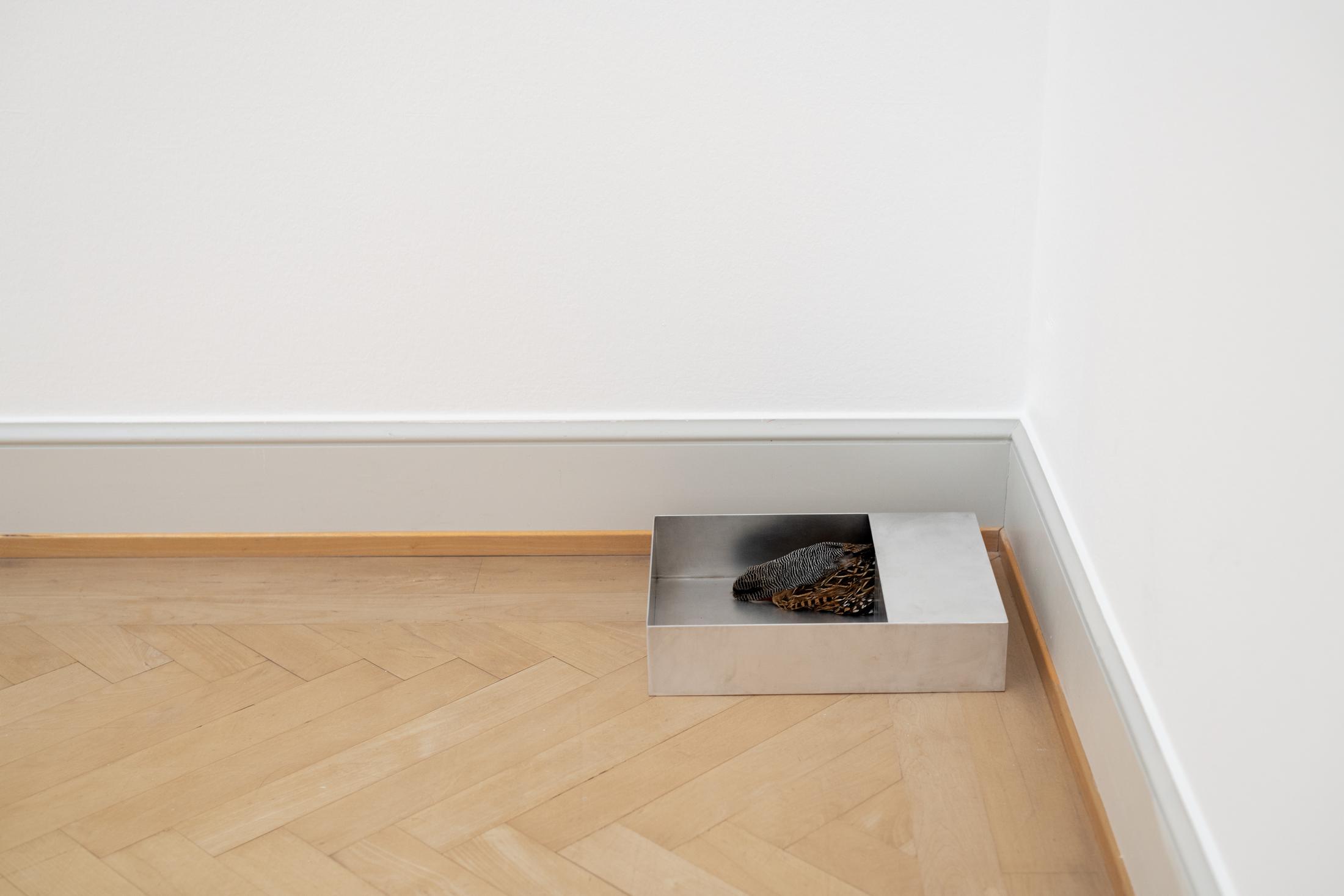 Exhibition View Haris Epaminonda Solo Show «VOL. XXIX» at Kunstmuseum St. Gallen, St. Gallen, 2023 / Photo: Haris Epaminonda / Courtesy: the artist and Kunstmuseum St. Gallen