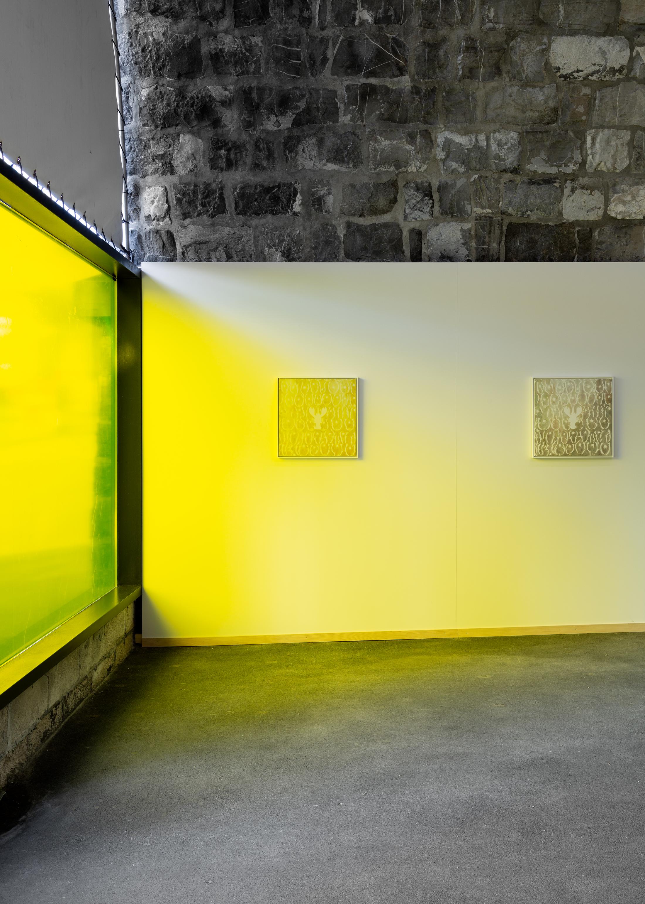 Exhibition View Group Show «Melanie Akeret, Luana Cardinaux and Sergio Rojas Chaves; view on Melanie Akeret, Lobster 4 & 3, 2023, Acrylic, oil and colored pencil on canvas, 50 × 50 cm» at Bad Posture, Lausanne, 2023 / Photo: Théa Giglio / Courtesy: the artists and Bad Posture