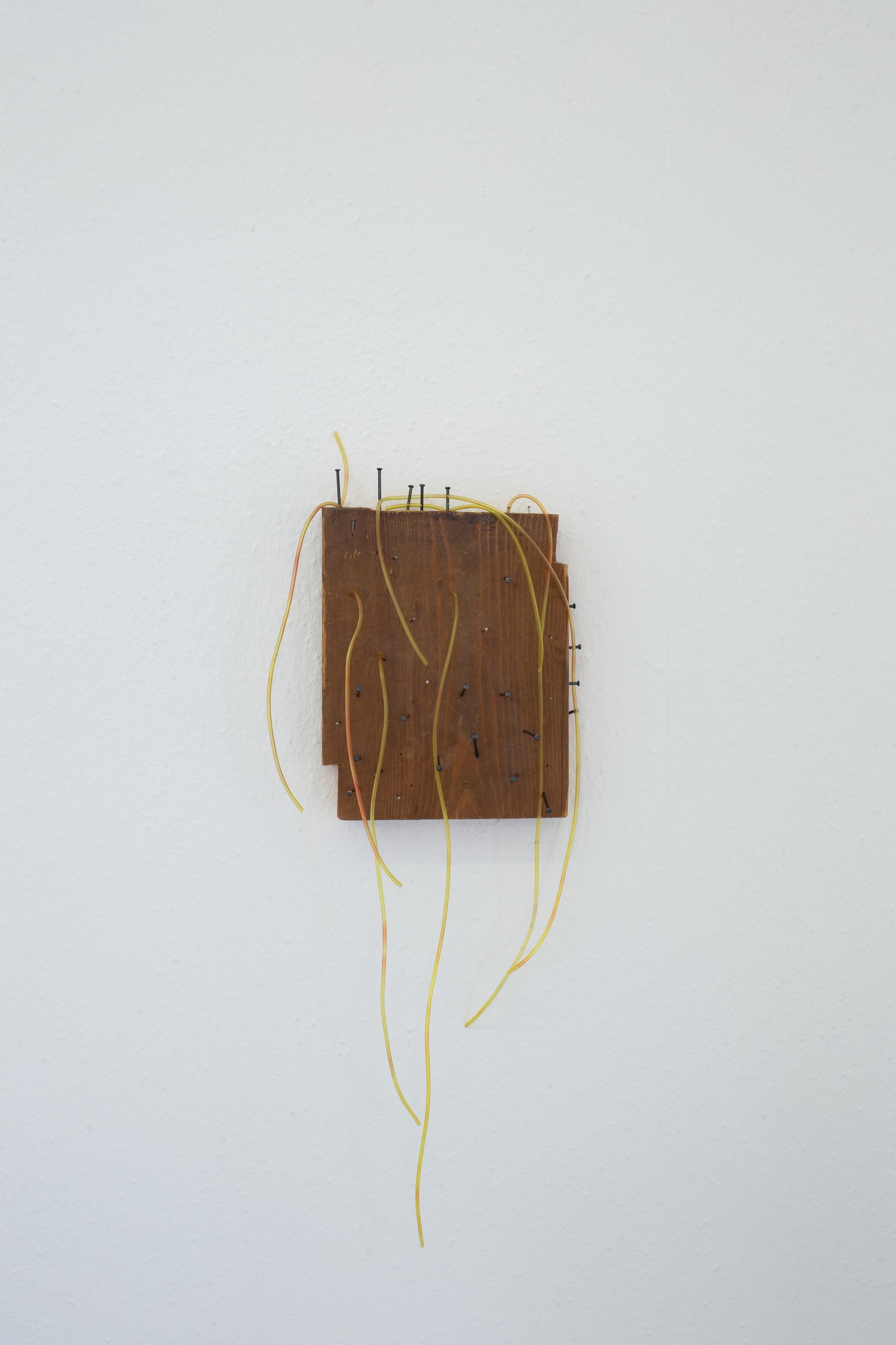 Exhibition View Group Show «Memory Mold; view on Tamara Vepkhvadze, Untitled, 2024, wood, nails, silicone tube» at Hamlet, Zurich, 2024 / Photo: Leevi Toija / Courtesy: the artists and Hamlet