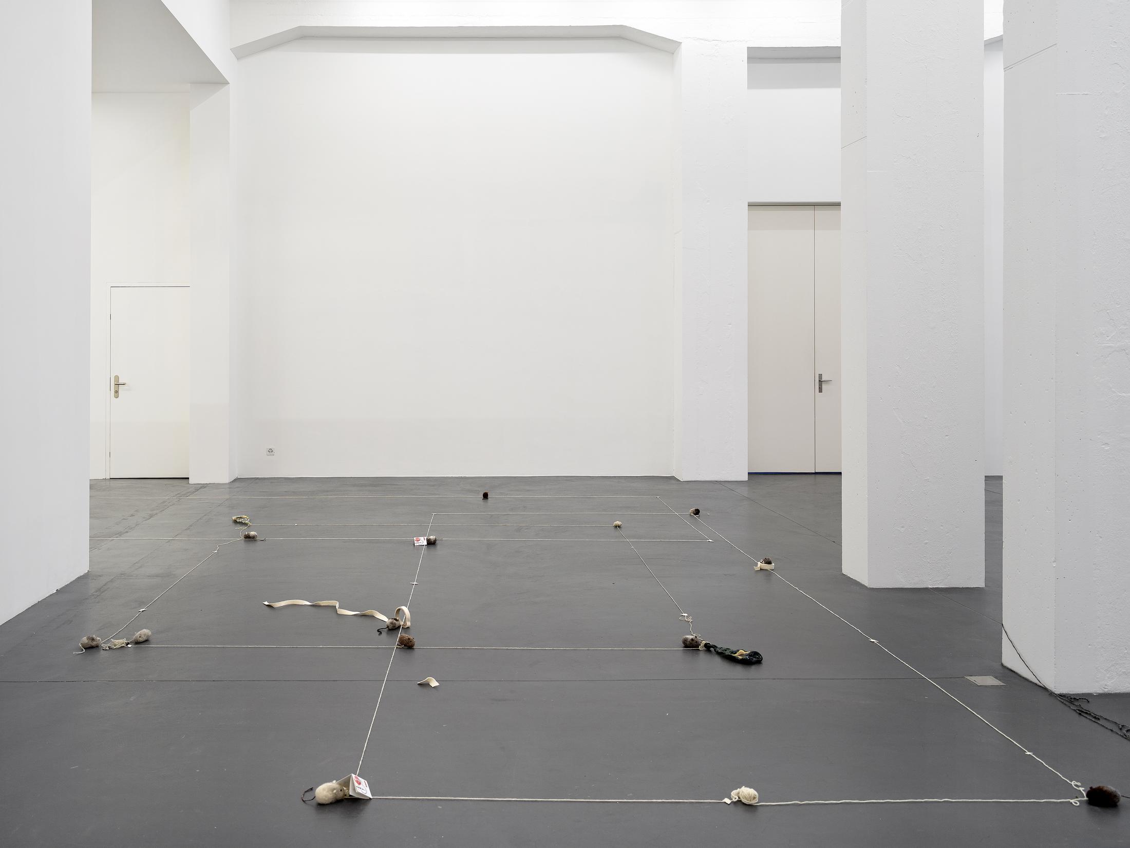 Exhibition View Solo Show Min Yoon «Perspectives + ing» at Galerie Francesca Pia, Zurich, 2024 / Photo: Cedric Mussano / Courtesy: The artist and Galerie Francesca Pia