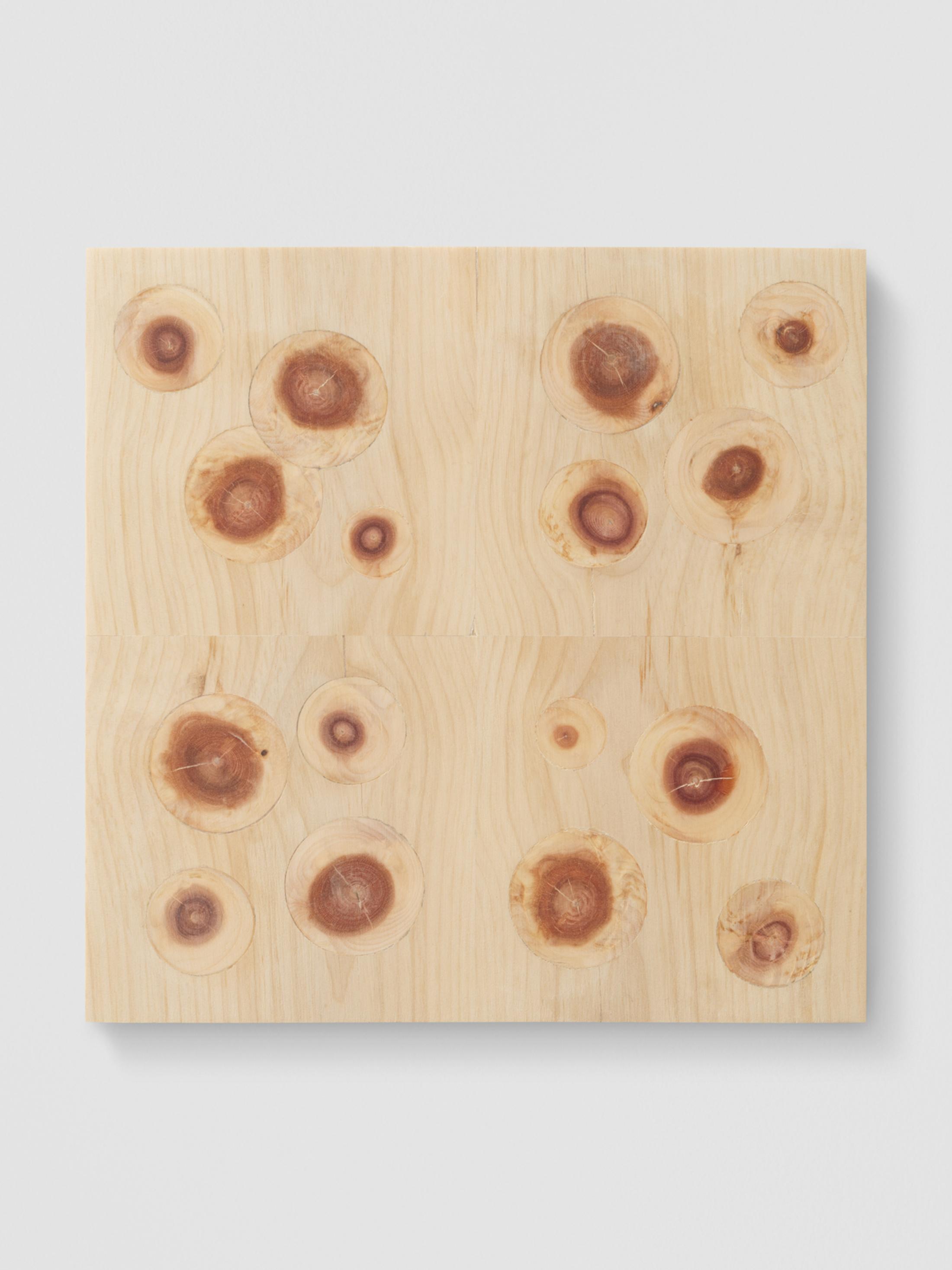 Exhibition View Solo Show Mirko Baselgia «Le jeu de l'échelle; view on Mirko Baselgia, Divide, replicate, deviate, disintegrate I, 2024, stone pine wood (Pinus cembra), 25,3 x 25,3 x 2,2 cm» at Galerie Heinzer Reszler, Lausanne, 2024 / Photo: Stefan Altenburger / Courtesy: The artist and Galerie Heinzer Reszler