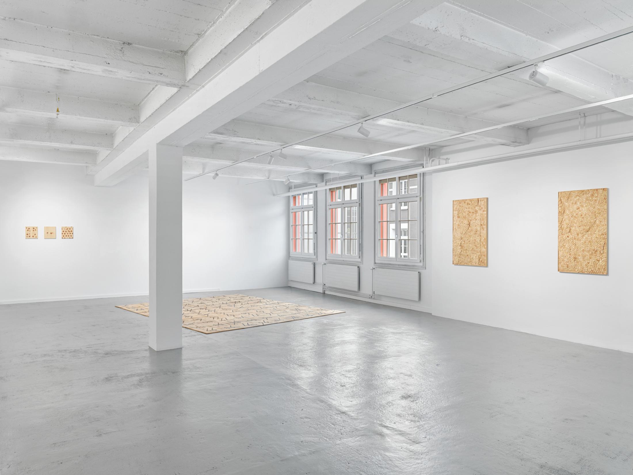 Exhibition View Solo Show Mirko Baselgia «Le jeu de l'échelle» at Galerie Heinzer Reszler, Lausanne, 2024 / Photo: Stefan Altenburger / Courtesy: The artist and Galerie Heinzer Reszler