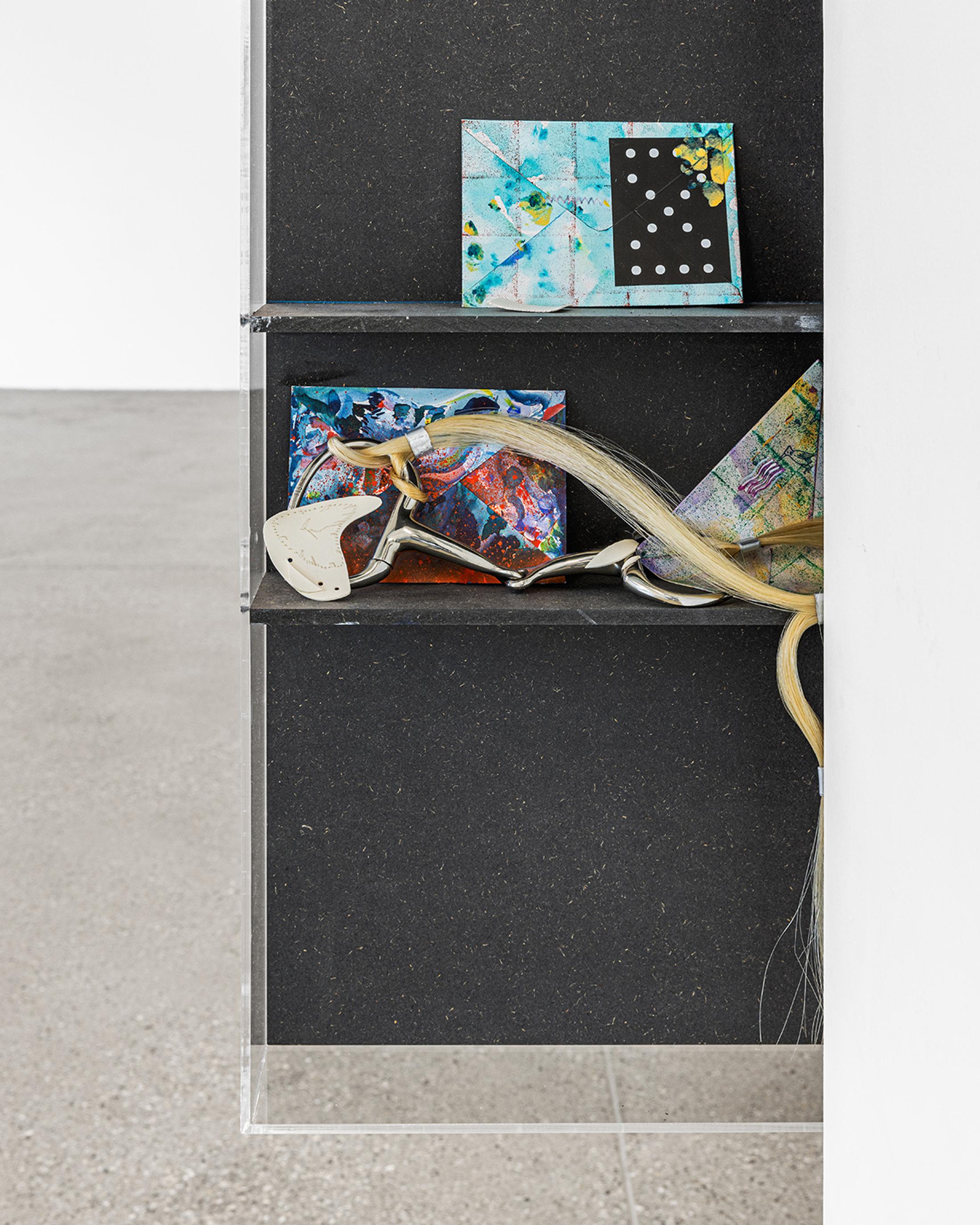 Exhibition View Solo Show Niels Trannois «Version Cue ; view on The late bird show (the great escape)(detail), 2024, oil on canvas on Plexiglas, print on fabric, paper, gelatin, 121x87x10 cm» at CALM – Centre d’Art La Meute, Lausanne, Switzerland, 2025 / Photo: Théo Dufloo / Courtesy of the artist