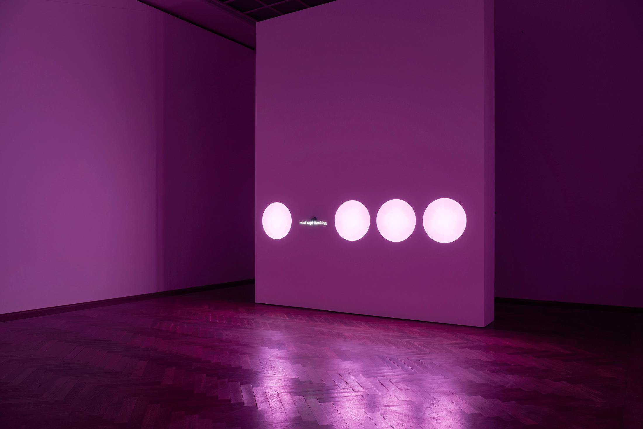 Exhibition View P. Staff Solo Show «In Ekstase; view on P. Staff, In Ekstase, 2023» at Kunsthalle Basel, Basel, 2023 / Photo: Philipp Hänger / Courtesy: the artist and Kunsthalle Basel