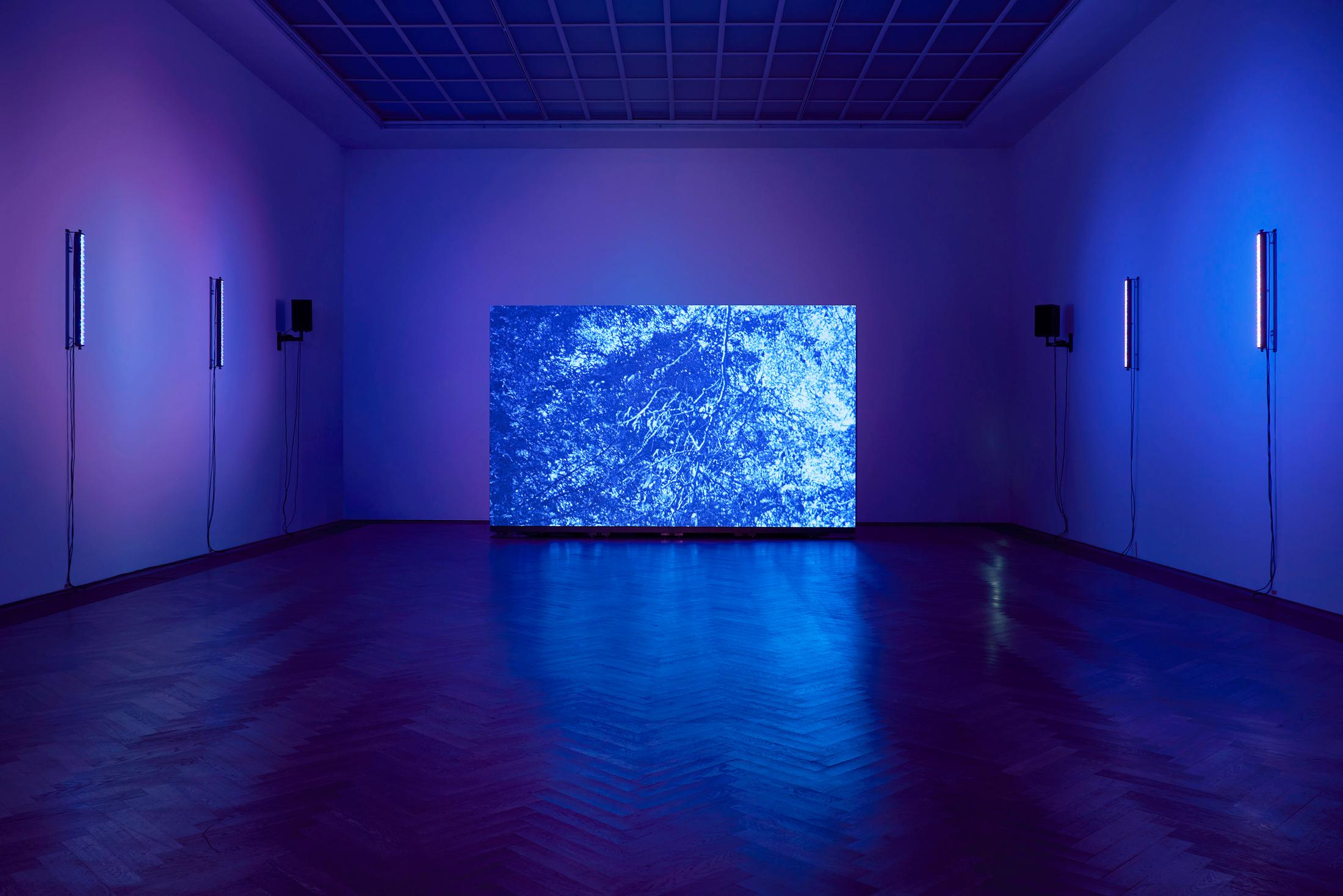 Exhibition View P. Staff Solo Show «In Ekstase; view on P. Staff, In La Nuit Américaine, 2023» at Kunsthalle Basel, Basel, 2023 / Photo: Philipp Hänger / Courtesy: the artist and Kunsthalle Basel