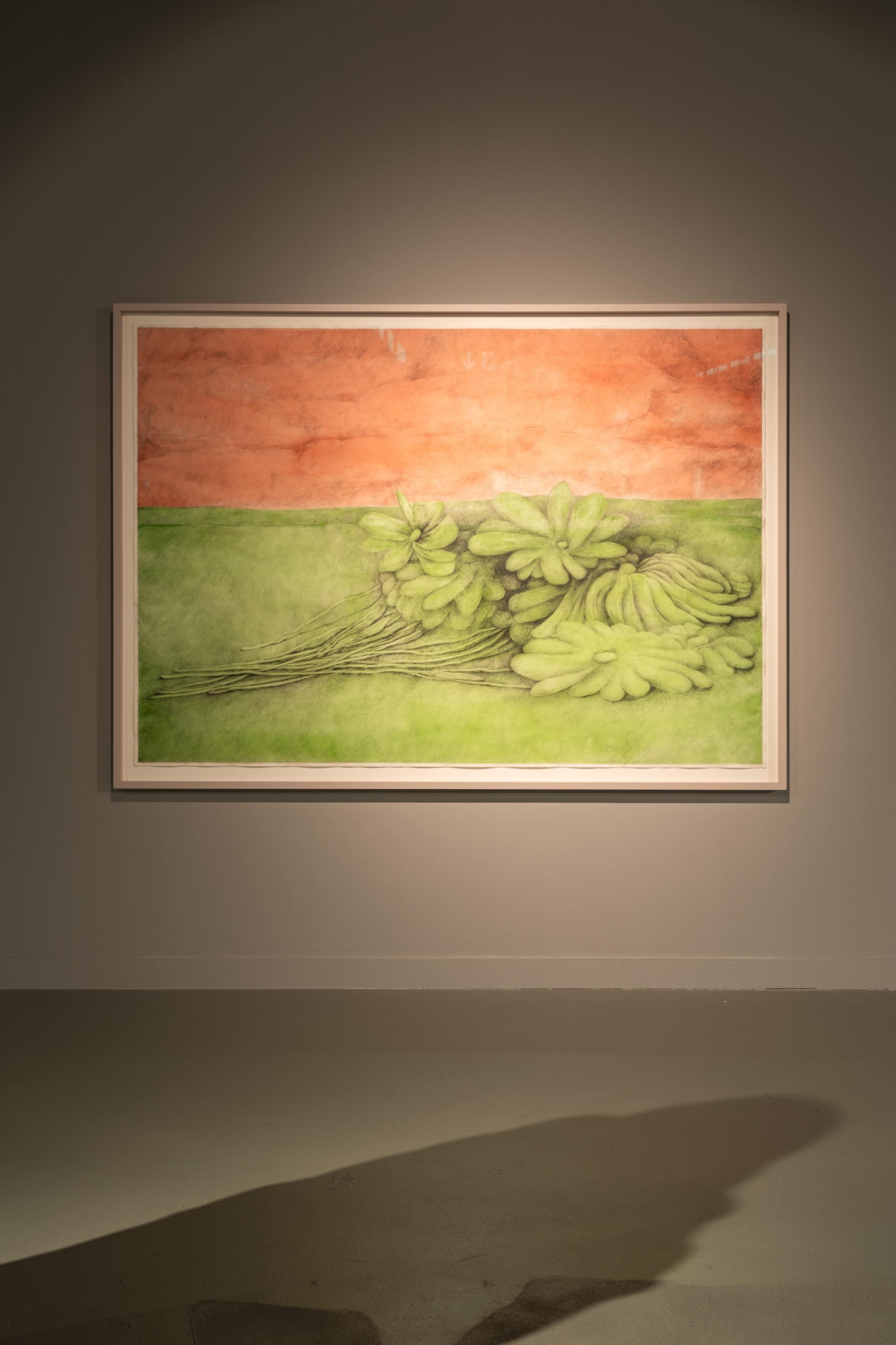 Exhibition View Solo Show Pascale Birchler «Ich kann dich sehen» at Kunsthalle Luzern, Lucerne, 2024 / Photo: Kilian Bannwart / Courtesy: the artist and Kunsthalle Luzern