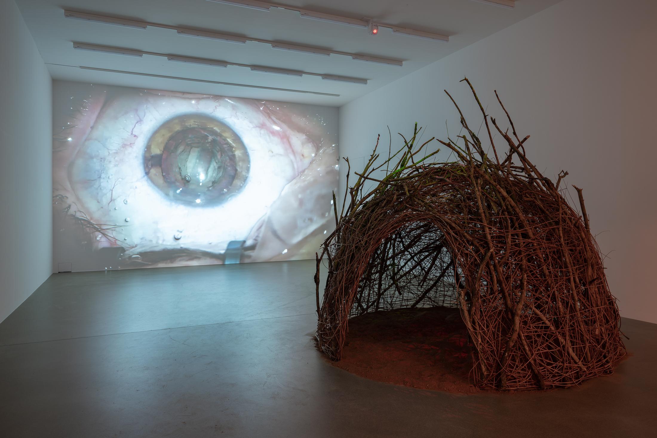 Exhibition View Solo Show Pauline Julier «A Single Universe» at Aargauer Kunsthaus, Aarau, 2024 / Photo: ullmann.photography / Courtesy: The artist and Aargauer Kunsthaus